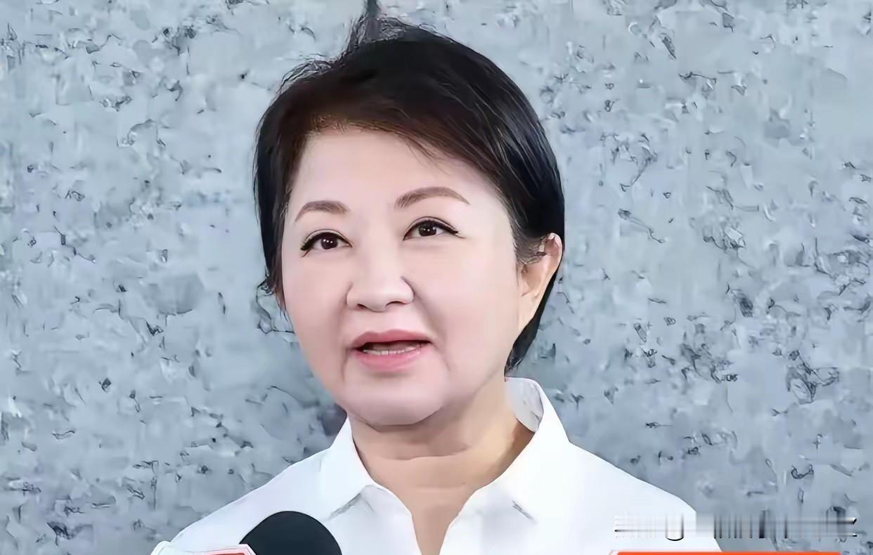 6月29日台中市长卢秀燕受访表态，国民党团拟推无人机相关条例，她提议总预算240