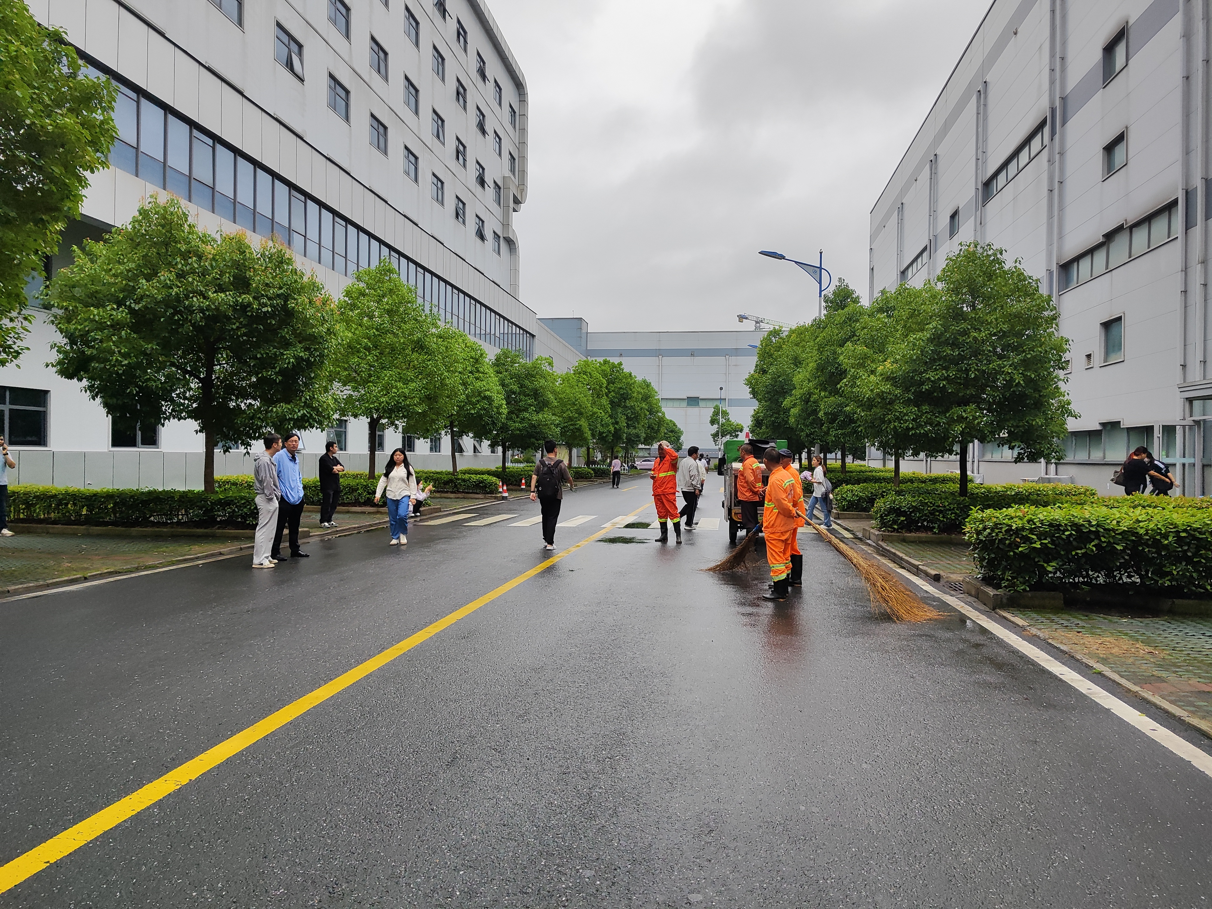 荷兰也挂了