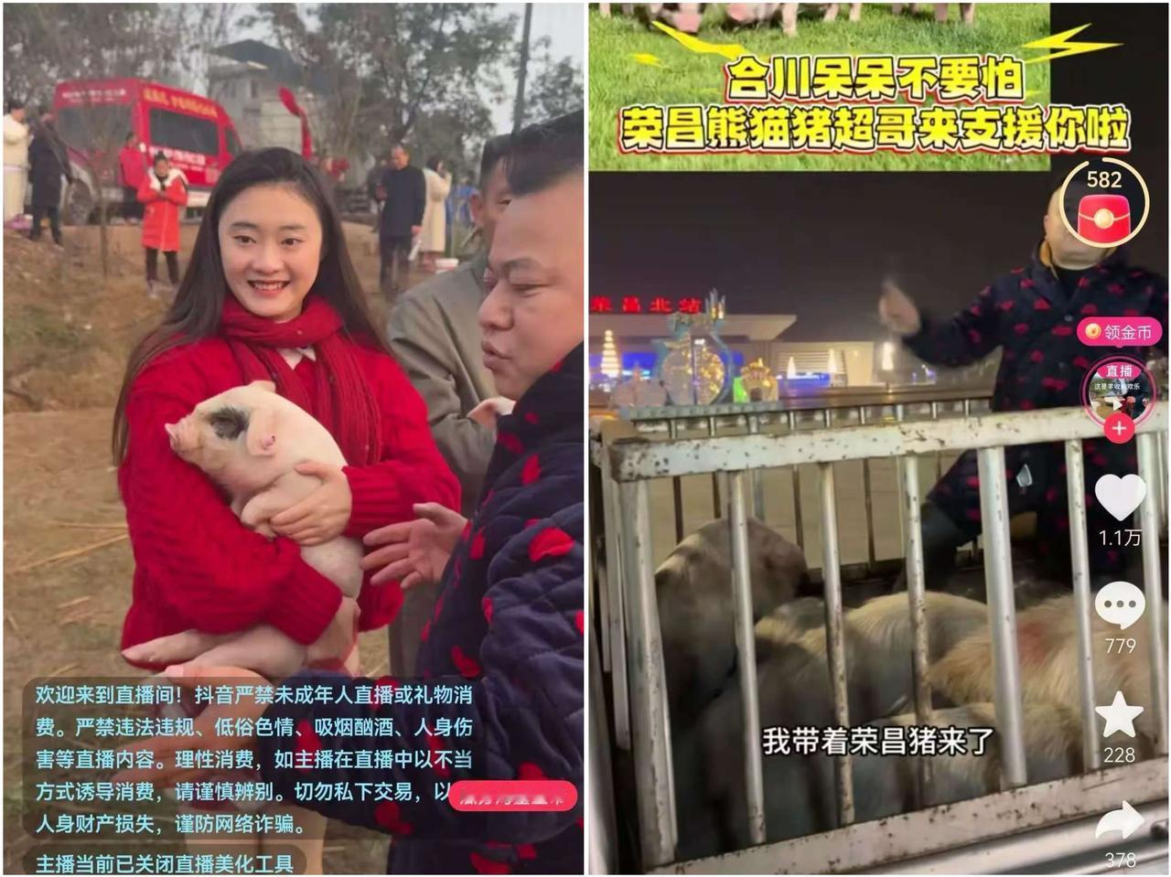 合川文旅这次真给全国打了个好样！

深夜两点多接到消息，立马组织人手赶去支援呆呆