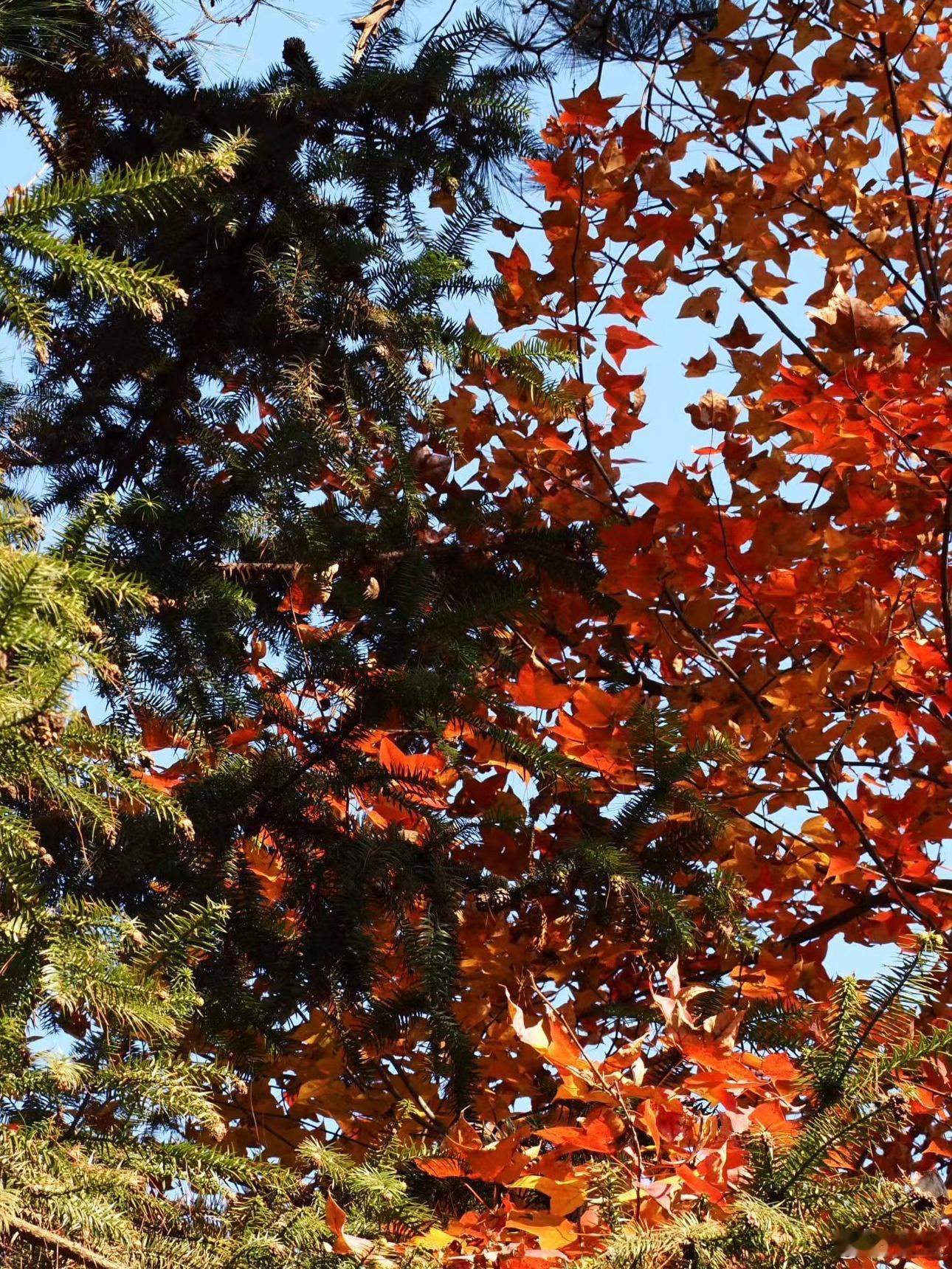 大数据还是挺可怕的偶然能刷到我微博并且以此作为了解基础，后续选择找我咨询的朋友基