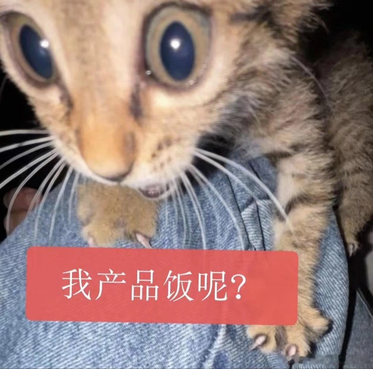 我每天 