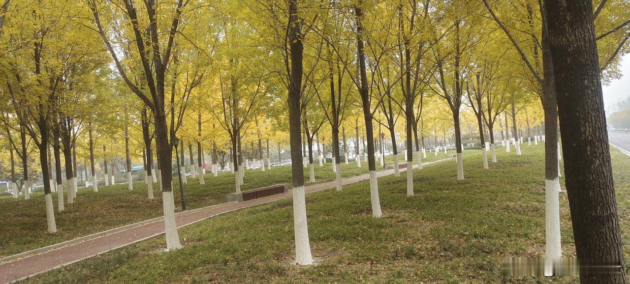 这是属于我们的季节