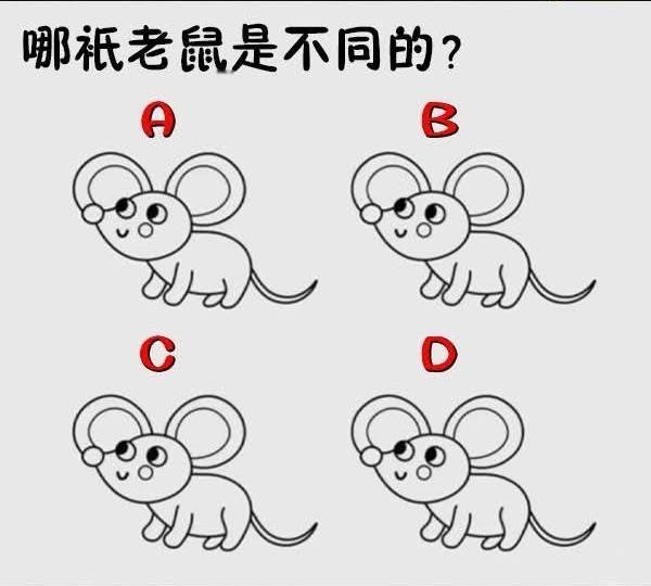 那只老鼠是不同的？ 