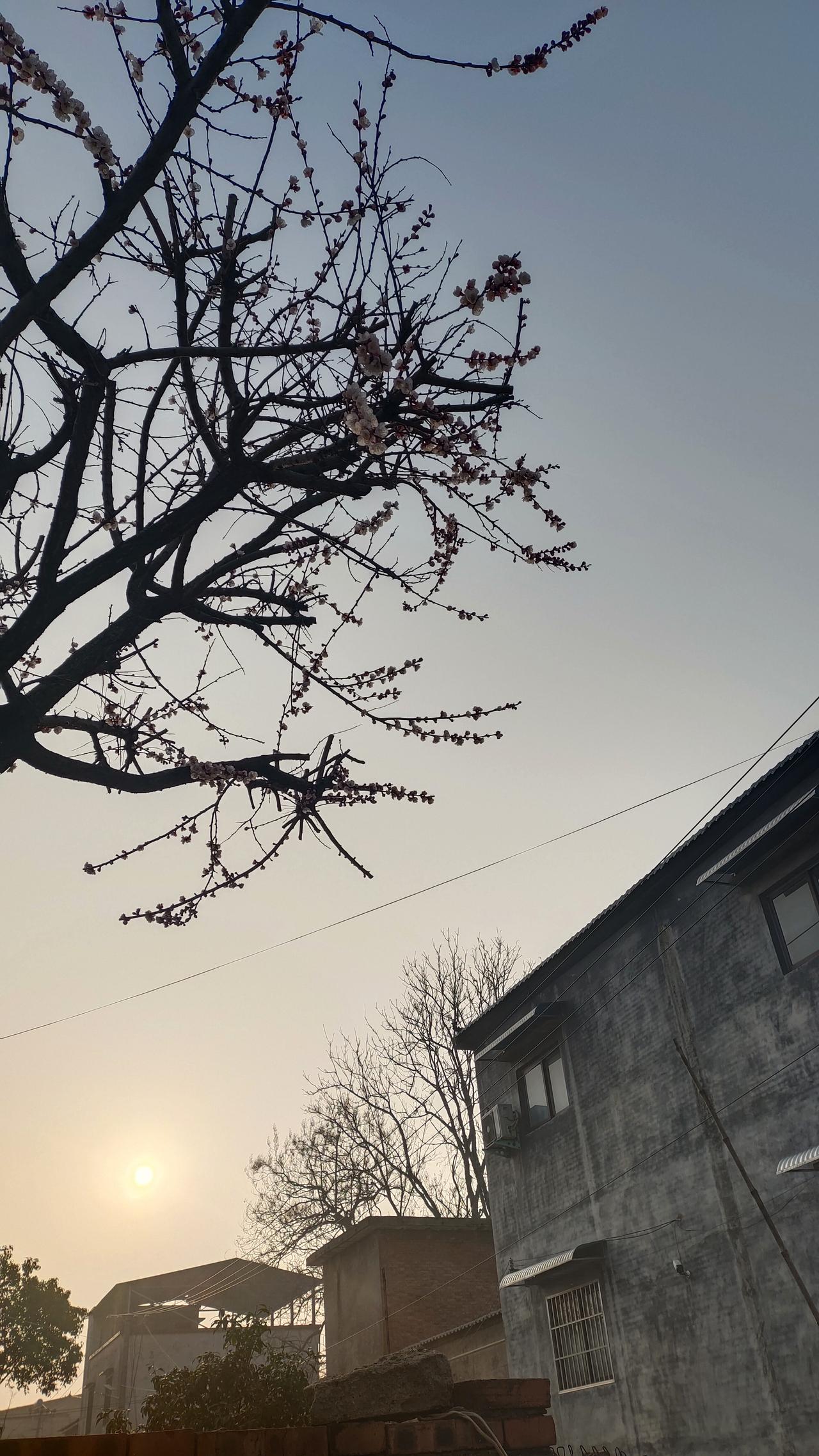 婶子说起过往，越说越激动，眼泪也忍不住掉了下来。她婆婆已经过世多年了，她还是不能