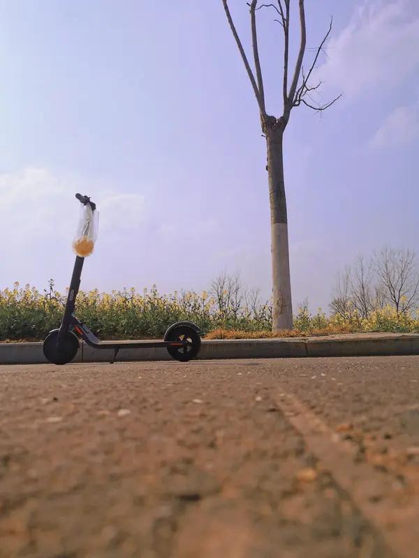 春日生活打卡季