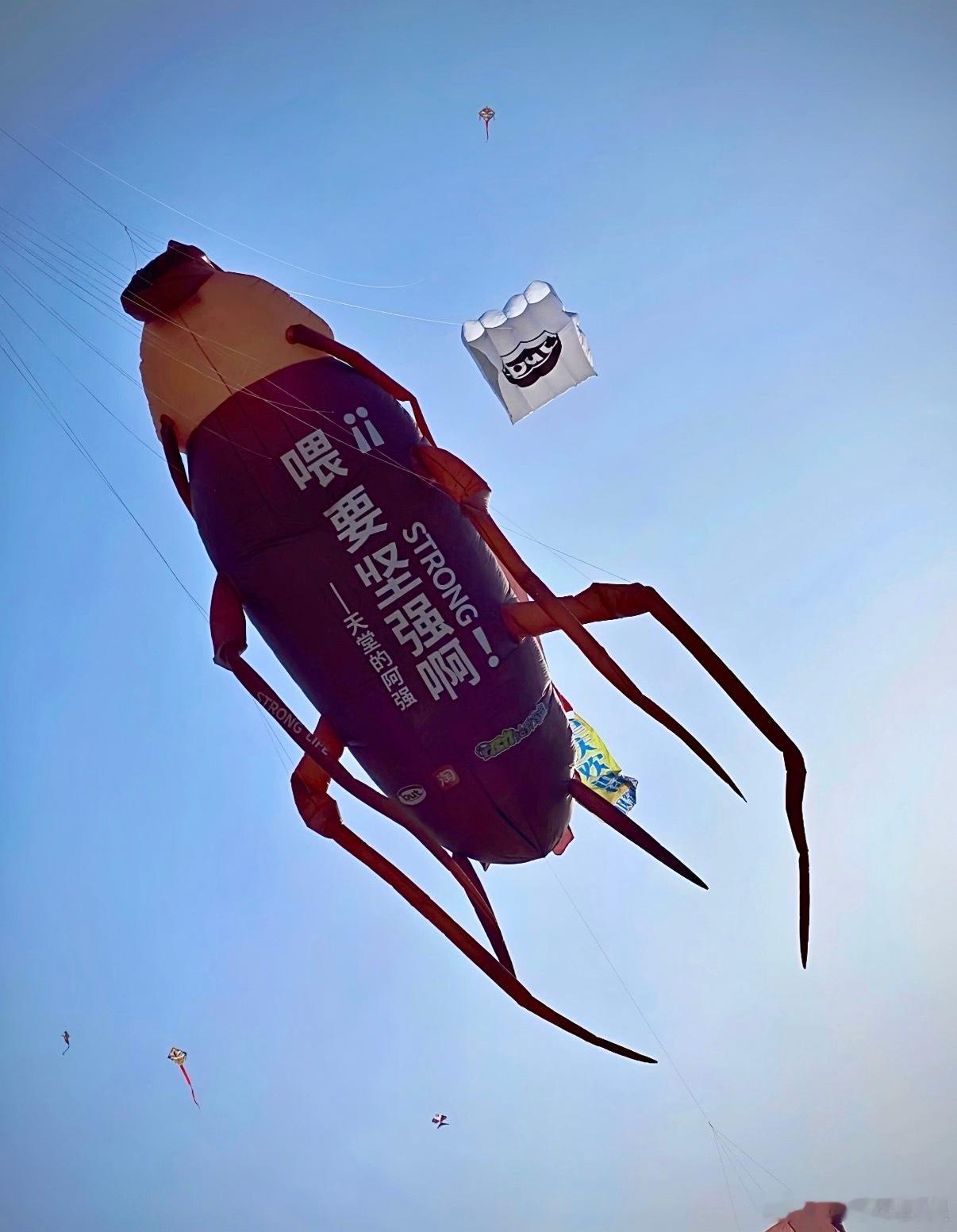 第一次见会搭讪的风筝第一次用社牛评价一个风筝✨被这只风筝可爱到！社牛到在天空疯狂