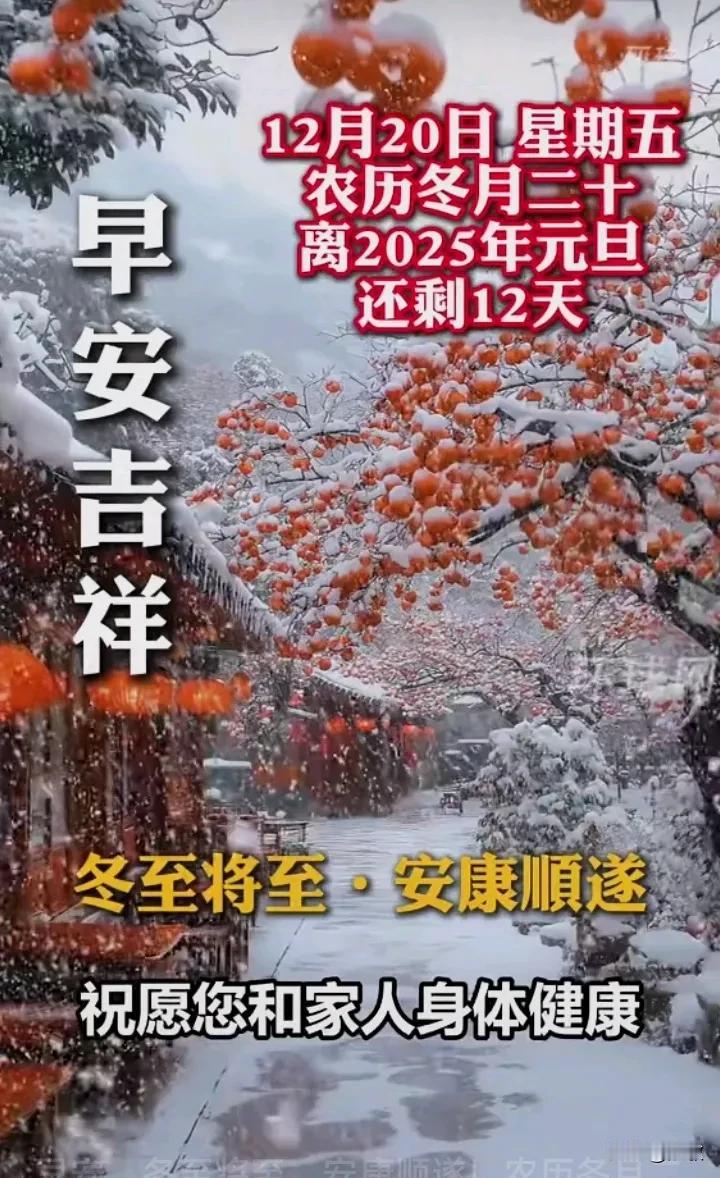 早安！冬至将至，安康顺遂！今天是12月20日明天就迎来了冬至，一晃元旦在眼前了。