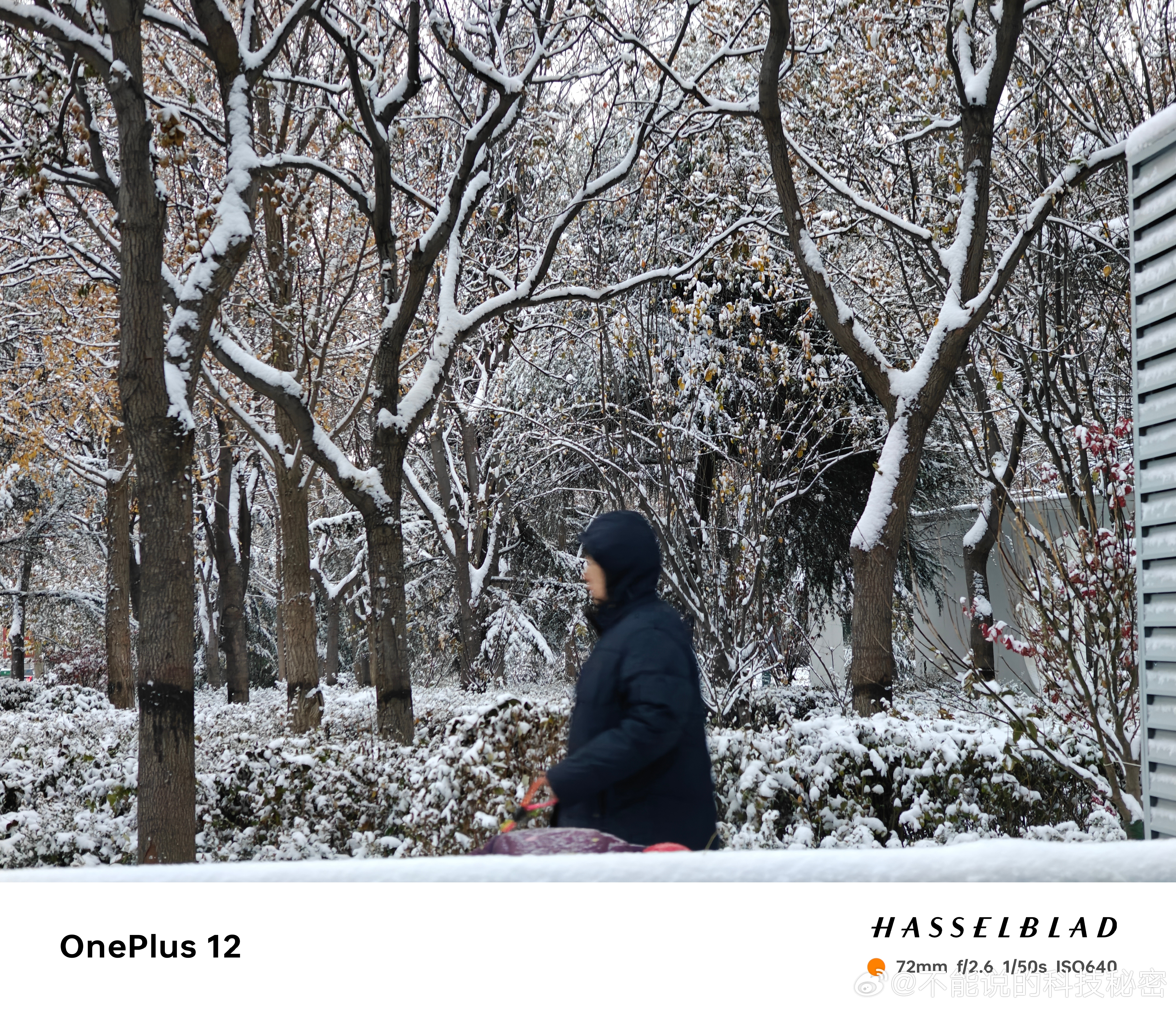 #石家庄的雪花到货了#下雪了，交警和环卫工人实属不容易，希望大家一路平安#一加1