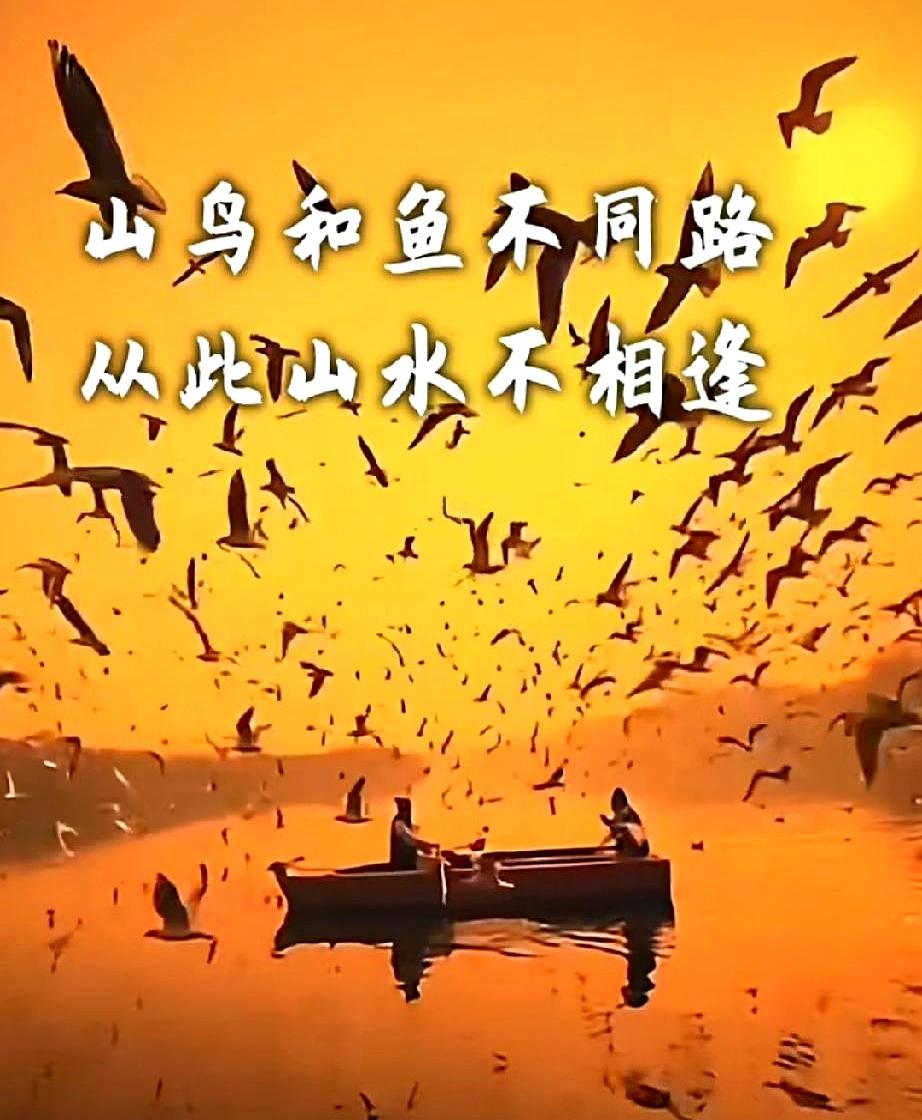 孩子攥着大学录取通知书，对妈说“离吧”——这场忍了20年的家暴，碎在升学宴的酒瓶