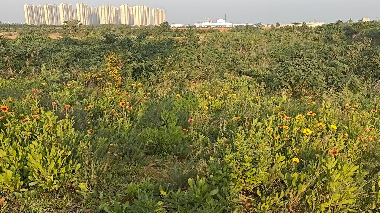 在今天失业了


 工作只是谋生手段，不是人生全部。停下来，反而能看清自己真正想