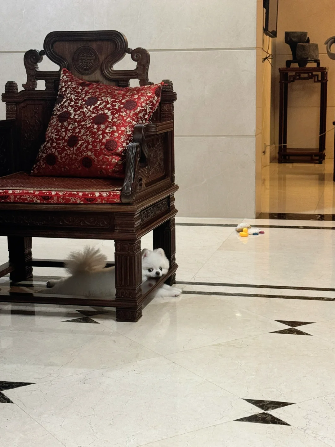 真会给自己找枕头🧽