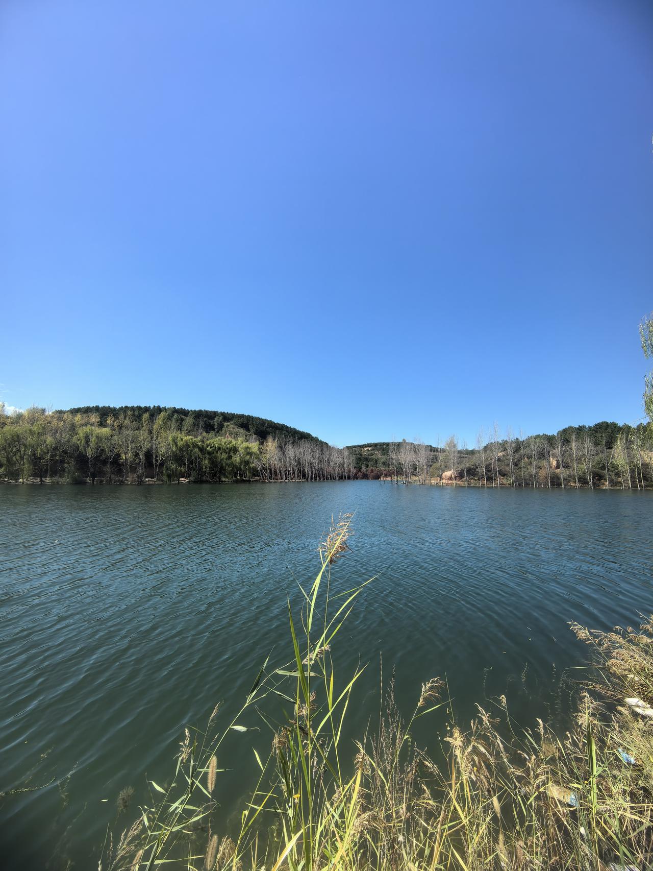 沿着明珠湖踱了半圈，恰好撞见风歇的瞬间，湖面静得像匹未曾揉动的蓝绸缎。
岸畔的水