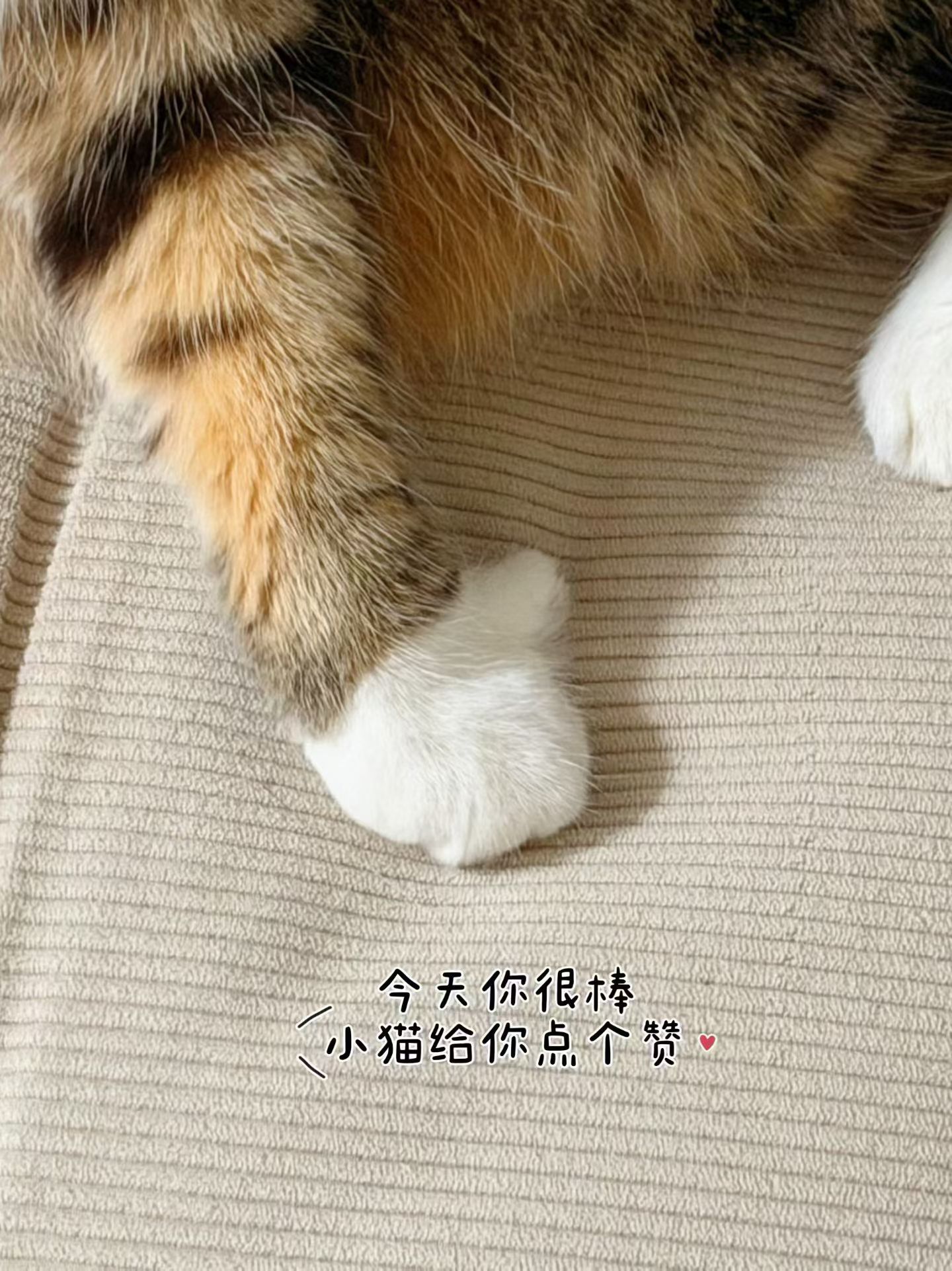 菲尔兹奖哇塞 学霸文必备的菲尔兹奖 恭喜恭喜 