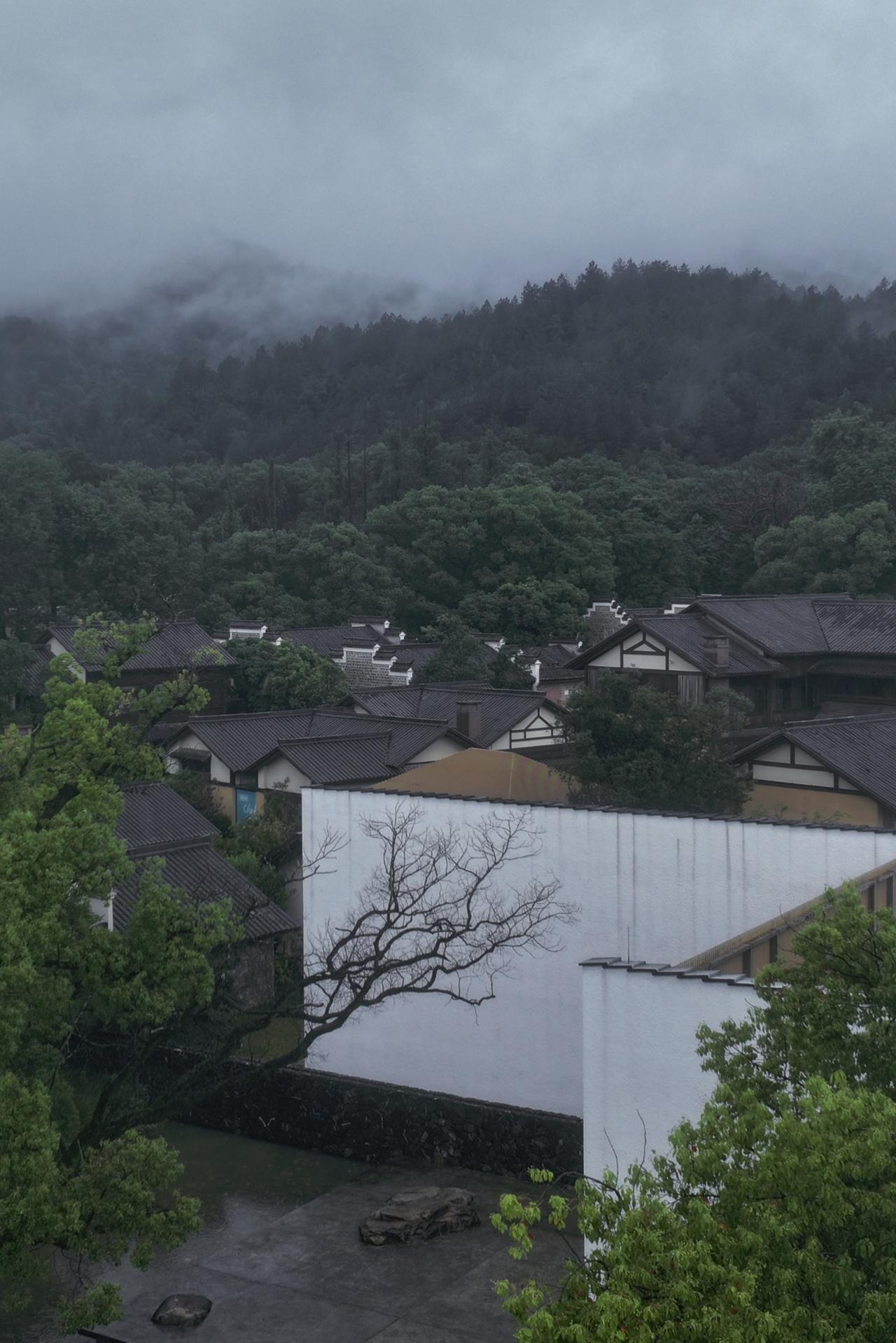 琴声何来，生死难猜，用一生去等待。意境 东方美学