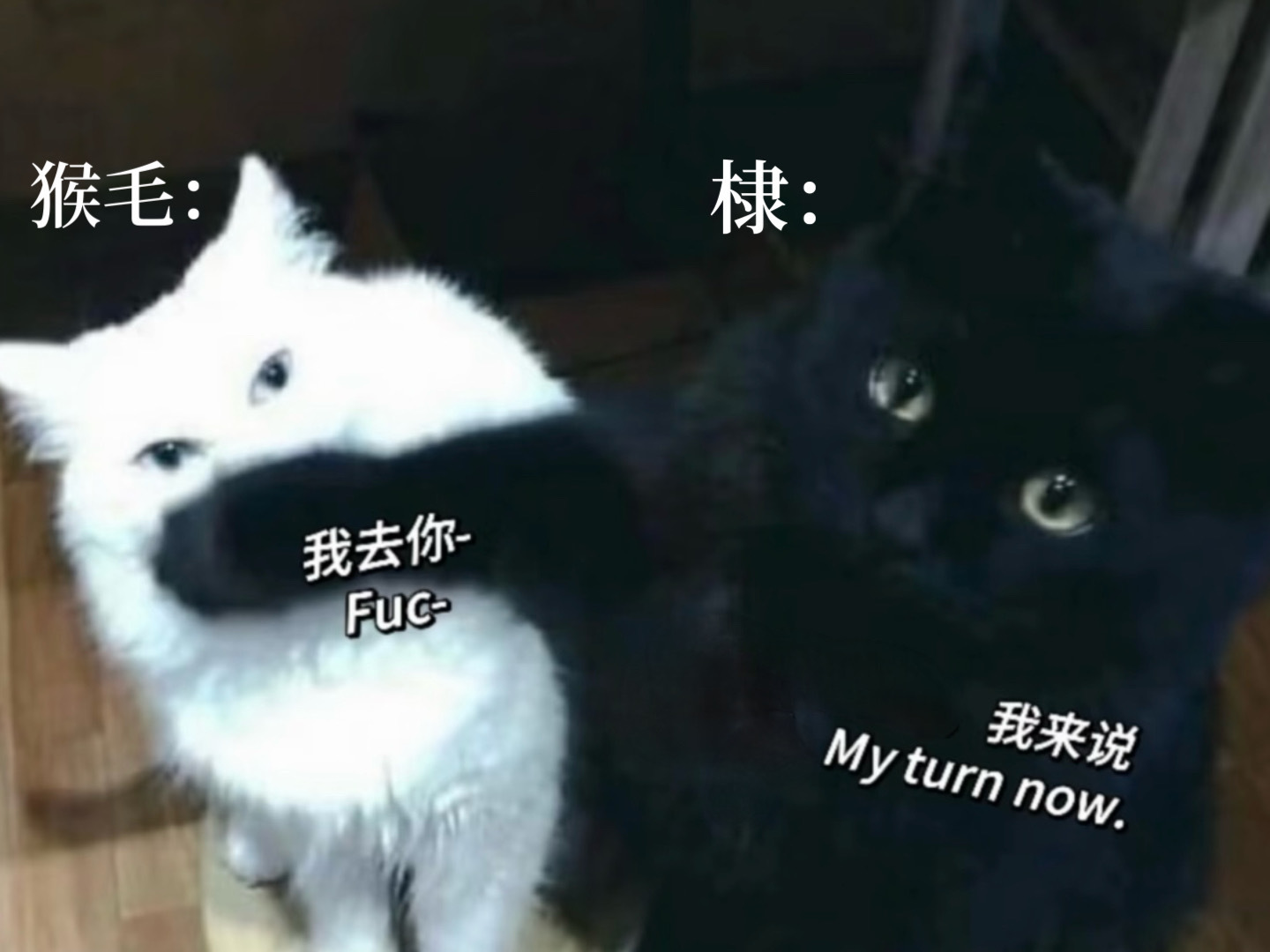 没有沉默的义务 ​​​