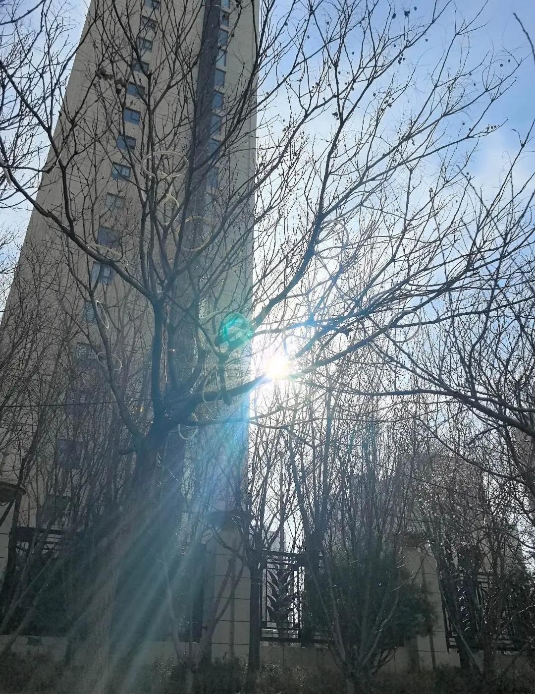 最好的状态不是天天开心，而是时时保持内心平静