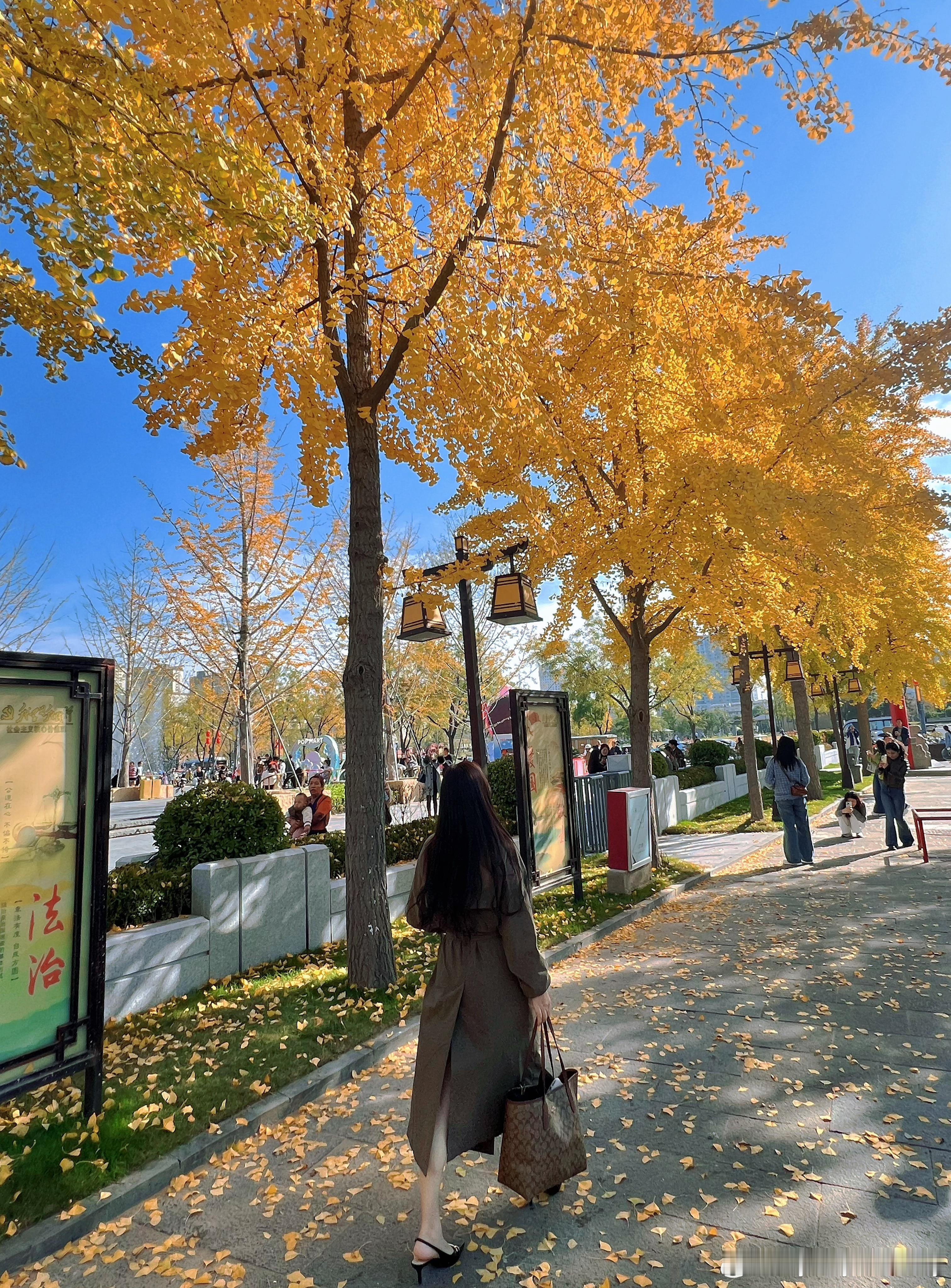 收集养老回忆素材  ​​​