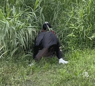 真羡慕你们自由自在，玩得痛快哈，又开心又锻炼到身体了，还逗乐了众人![强]