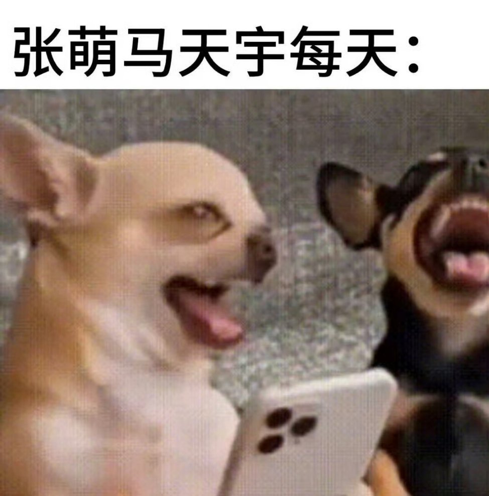 我说有些没睡醒的能不能别妨碍我们乐子人，纯稚故事线都没开始了，别破坏我看综艺的体
