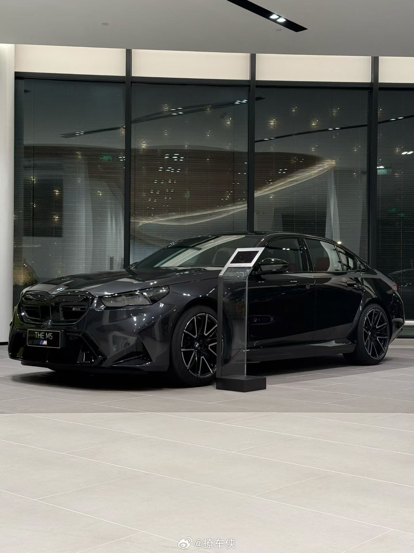 早起的鸟儿有虫吃，早起的虫儿被鸟吃...那我再睡会儿？早安