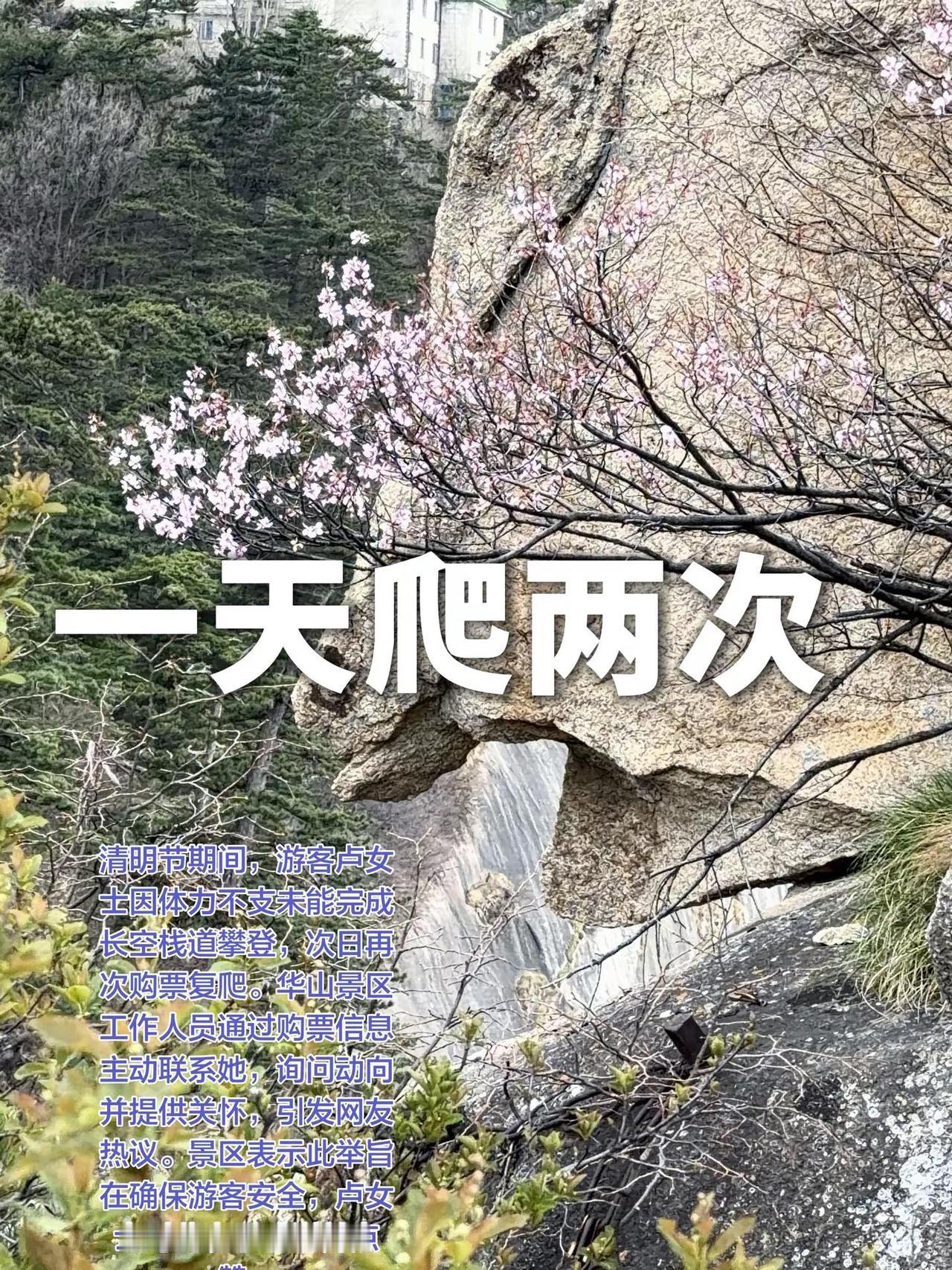 女子一天爬两次华山收到景区问候。清明节期间，游客卢女士因体力不支未能完成长空栈道