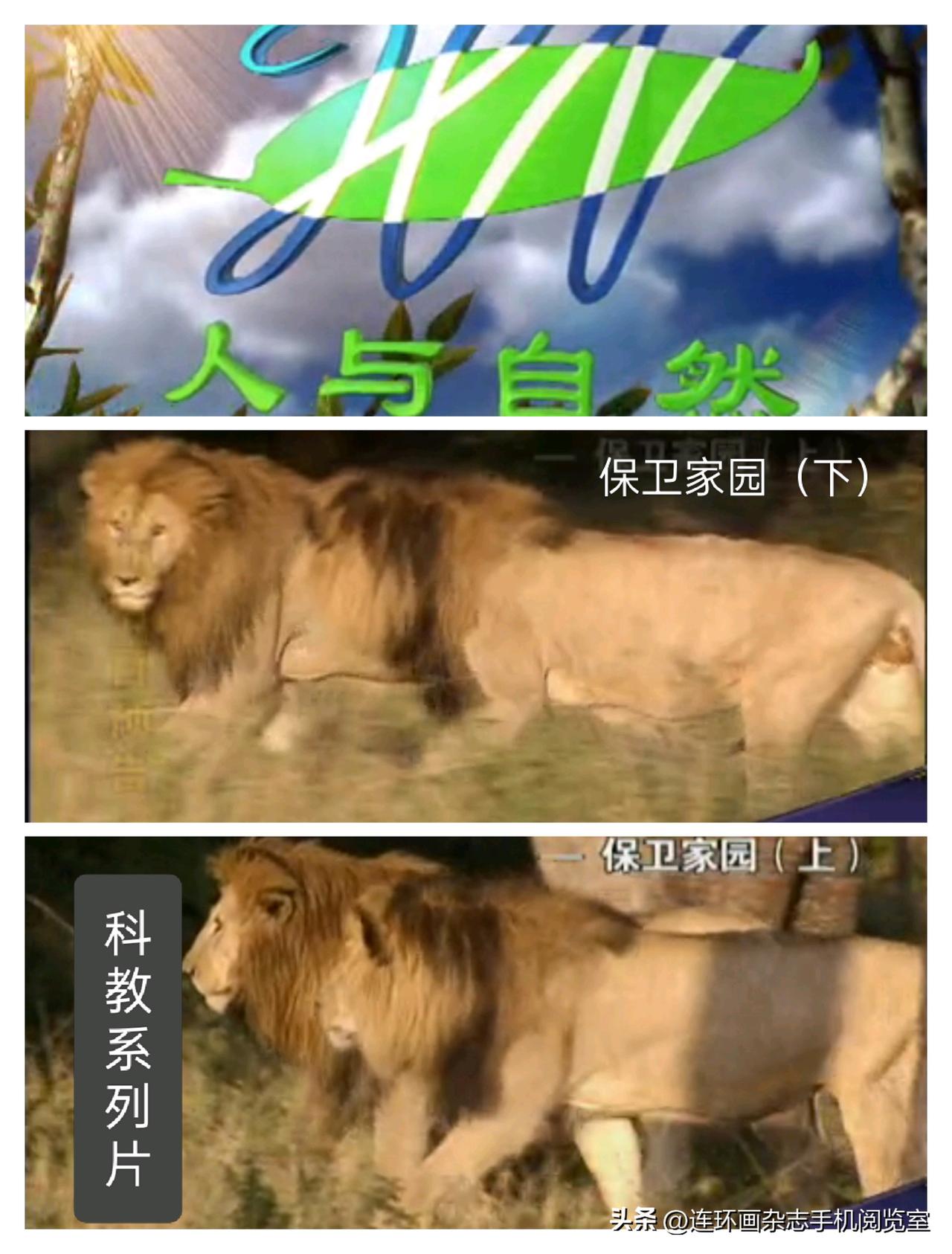 微杂志〔《保卫家园》、识豆、过刊回顾〕