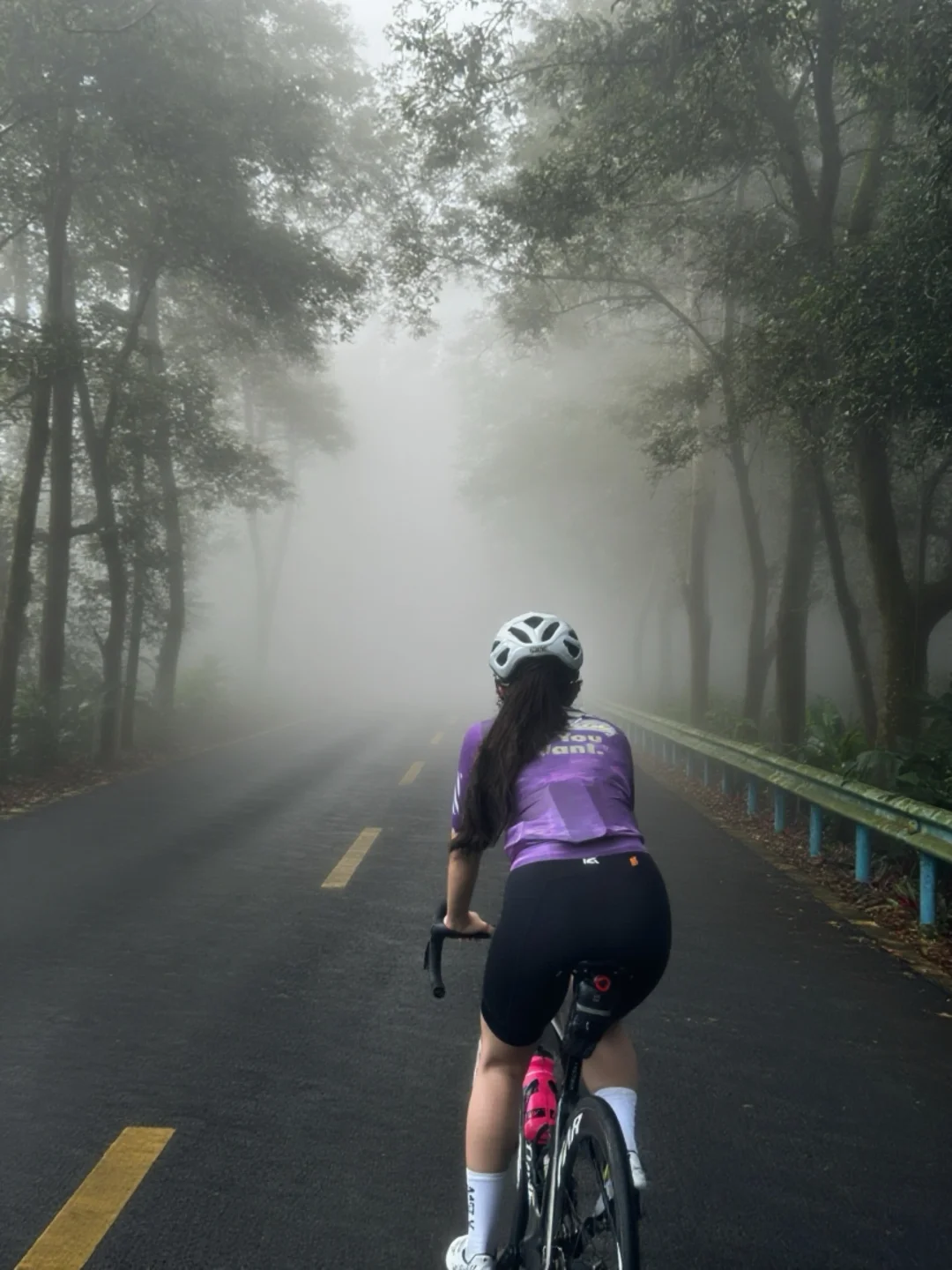 在那迷雾森林中