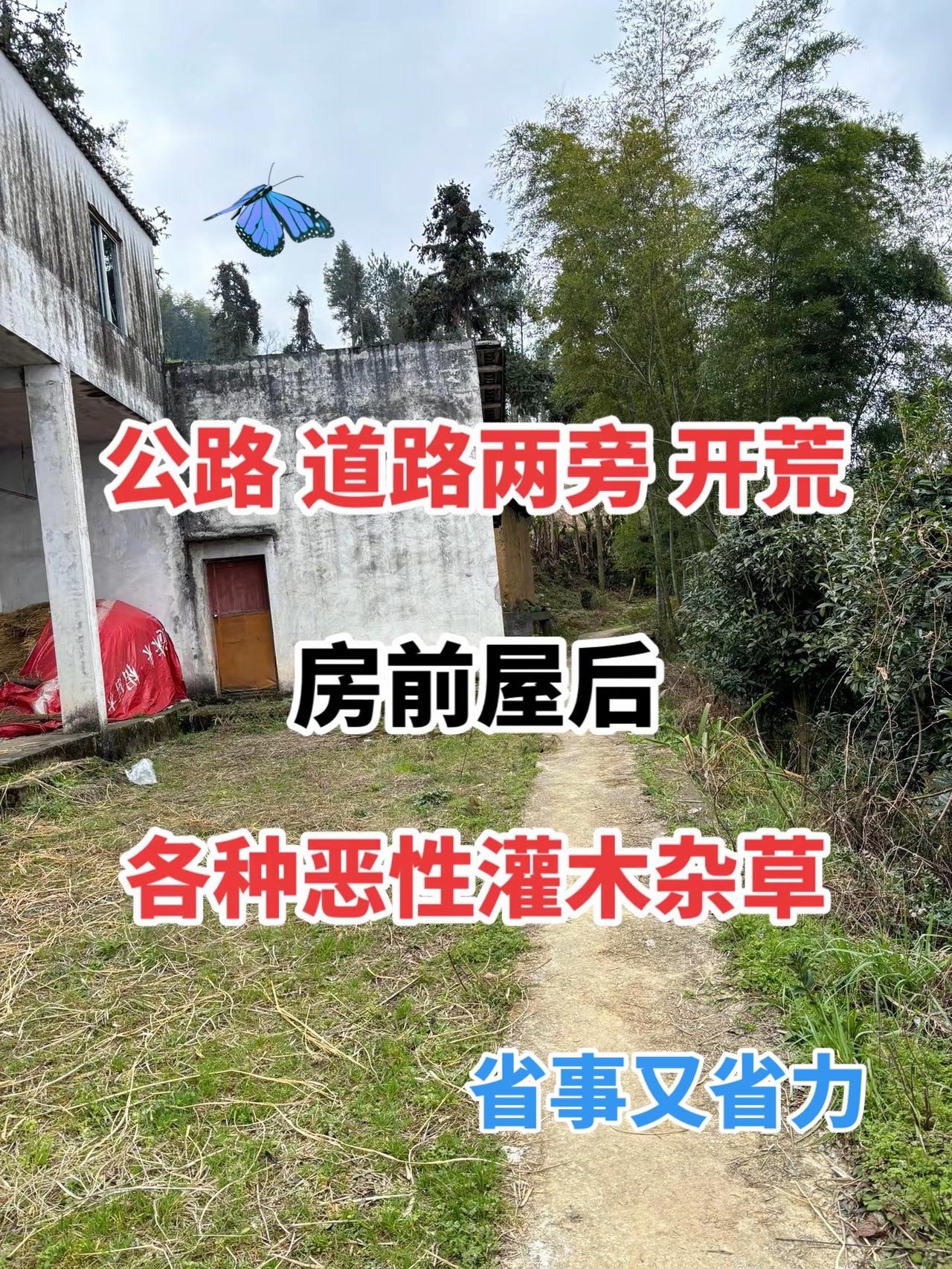 抖音热门推荐小助手 甲嘧磺隆 除草剂除杂草公路除草剂