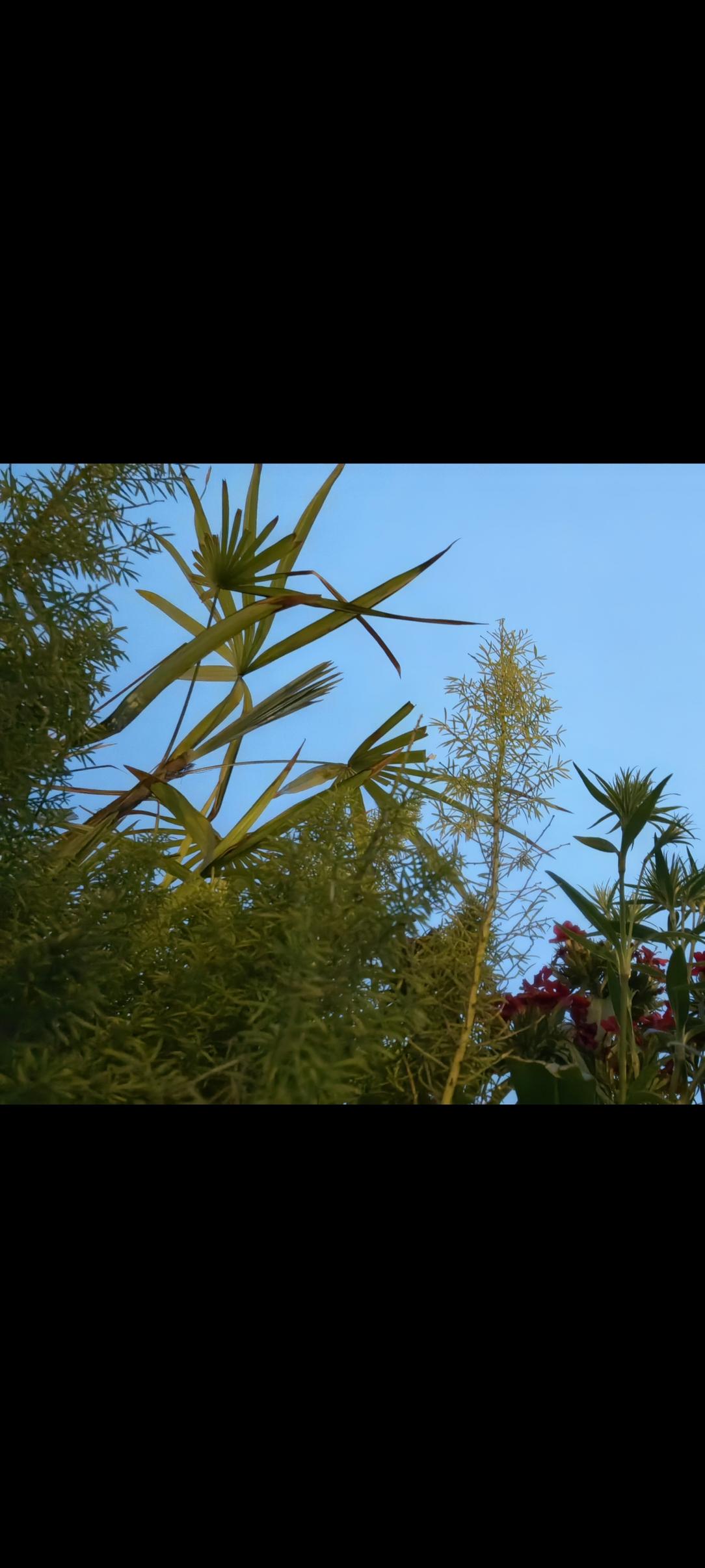 别把别人的评价，当成你的枷锁。

你想过吗？那些评价你的人，大多从未真正活出自己