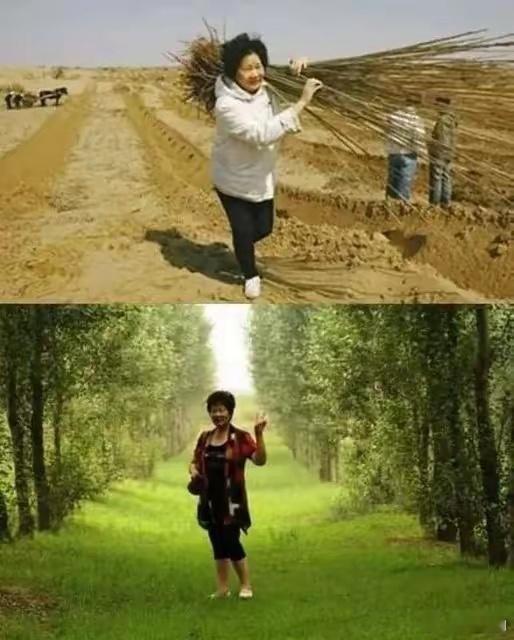 她叫易解放，20年在沙漠种树1000万棵。用BBC话说“她强迫1000万棵树在沙