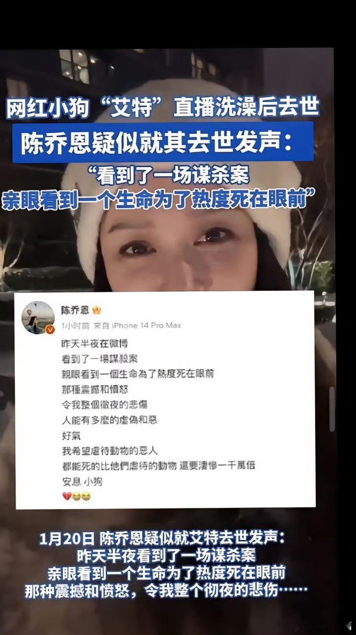 陈乔恩称艾特去世是谋杀案 好意外，好可惜[伤心]心情可以理解！护理不当是肯定跑不