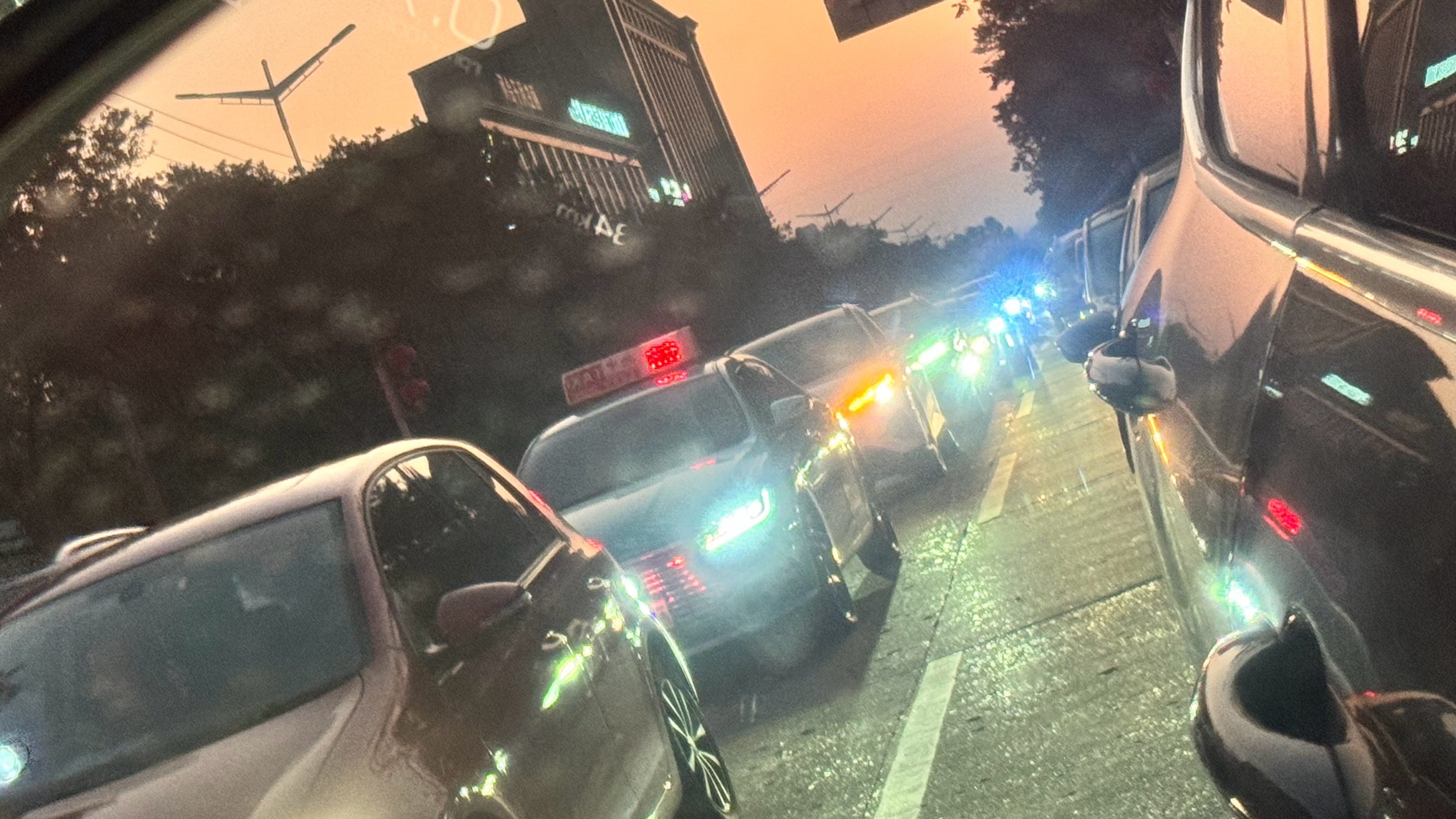 狗见面 不是闻就是舔 人见面 不是骗就是演 