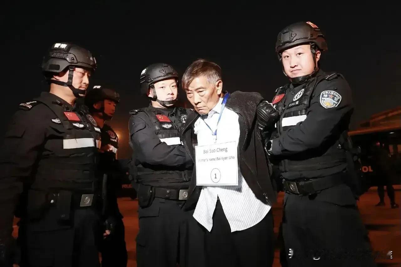 从“四大家族”到全民反诈：如何用“三断政策”斩断跨境犯罪产业链？
 
“白家”案