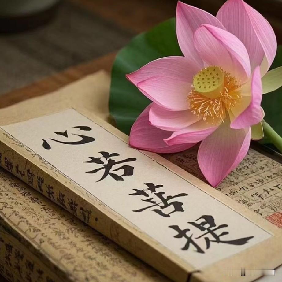 无数人的人生告诉我们：你永远不知道明天和意外哪个先来。
疾病，天灾人祸，始终伴随