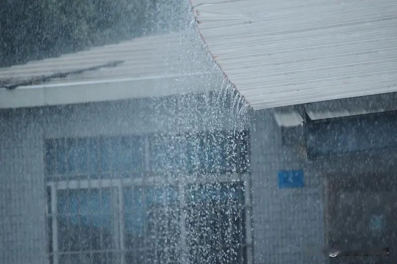 不知道，我真不知道，春风的意思是春天的特点，夏雨，也是夏天的某一日的意思，冬雪自