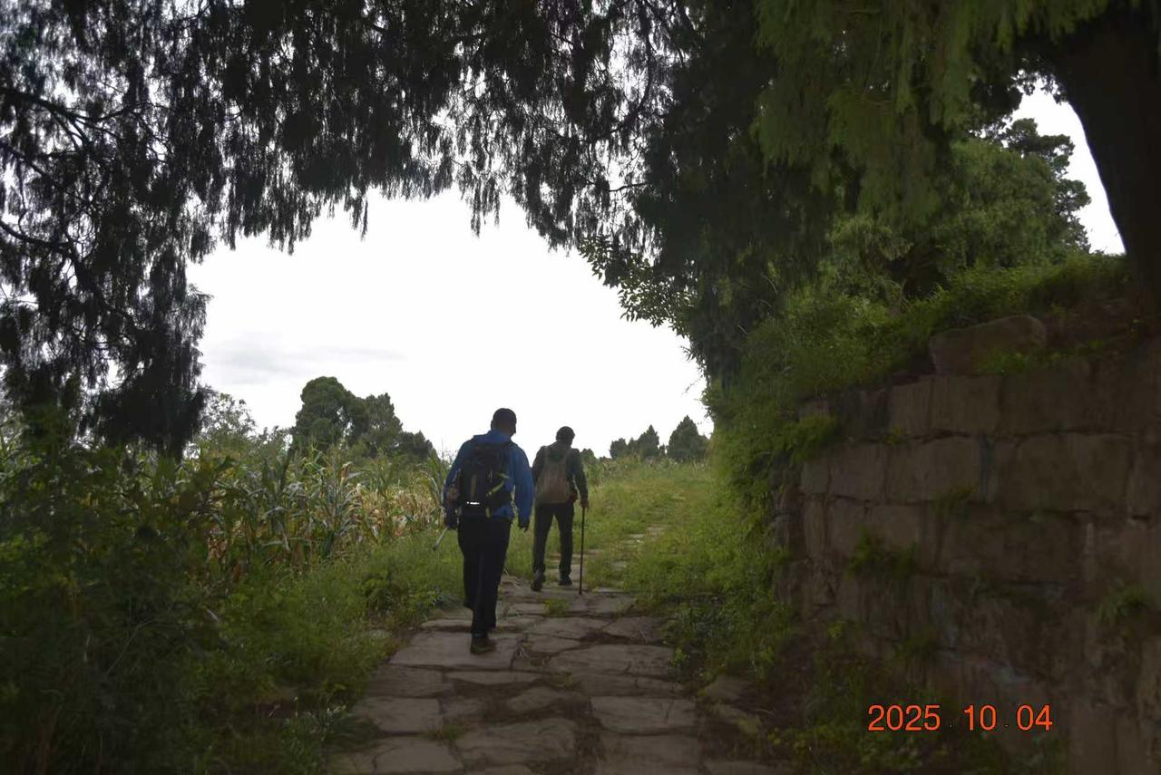 中国国家地理》誉为蜀道活化石。被誉为