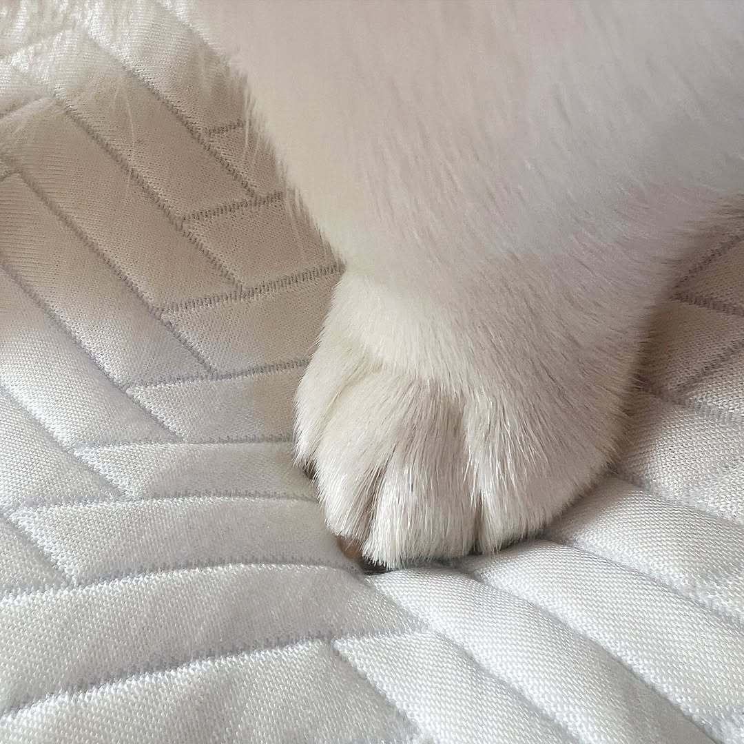 我洗好澡啦！ ​​​