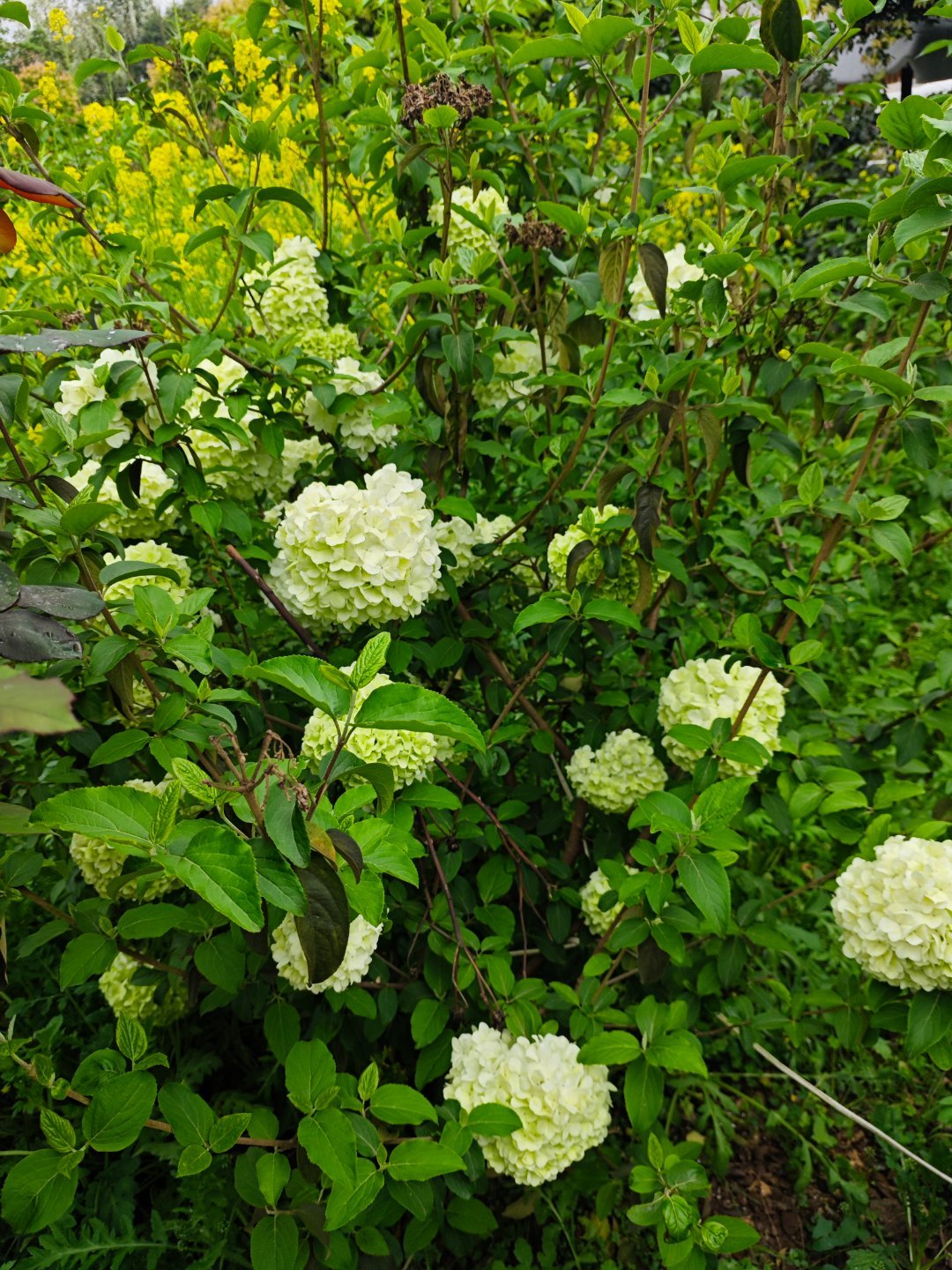 米卡的时尚赛道都到赛车了把速度感与时尚感结合得恰到好处，整个人气场拉满，随手一拍