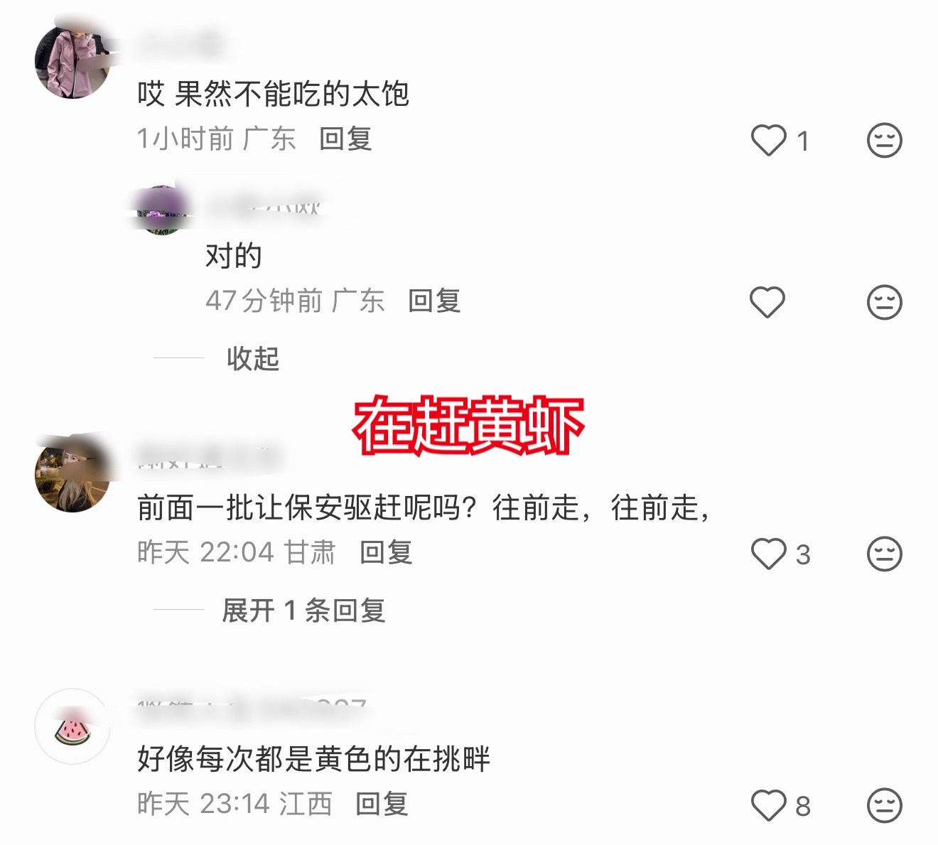 刷到个现场安保维持秩序催着黄虾散场的视频，评论区路人说的好中肯