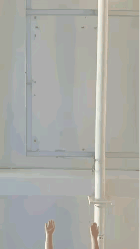 喜欢哪一个