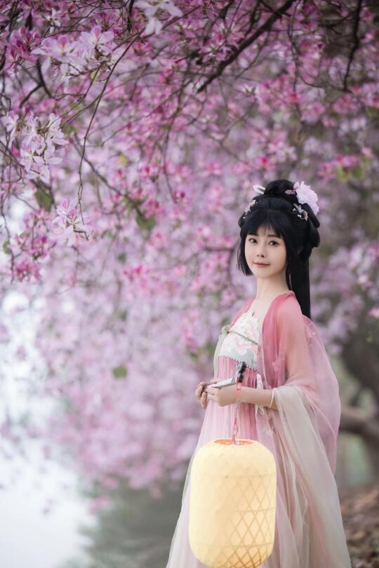 柳州的紫荆花🌸真的美疯了📷拍的太值了