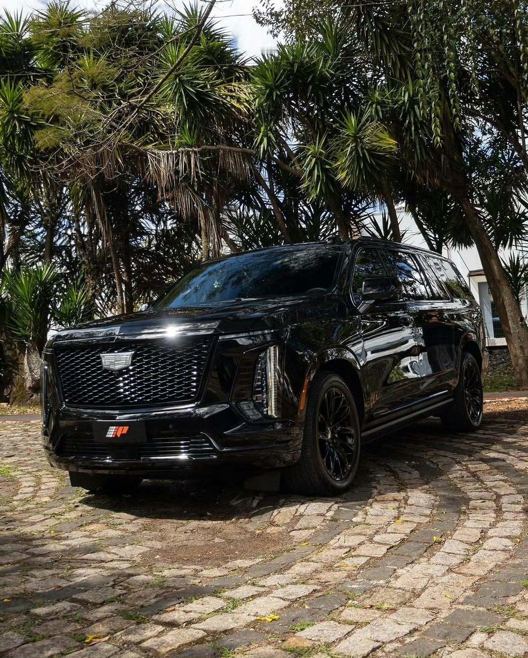 凯迪拉克 Escalade ESV [色][色] ​​​