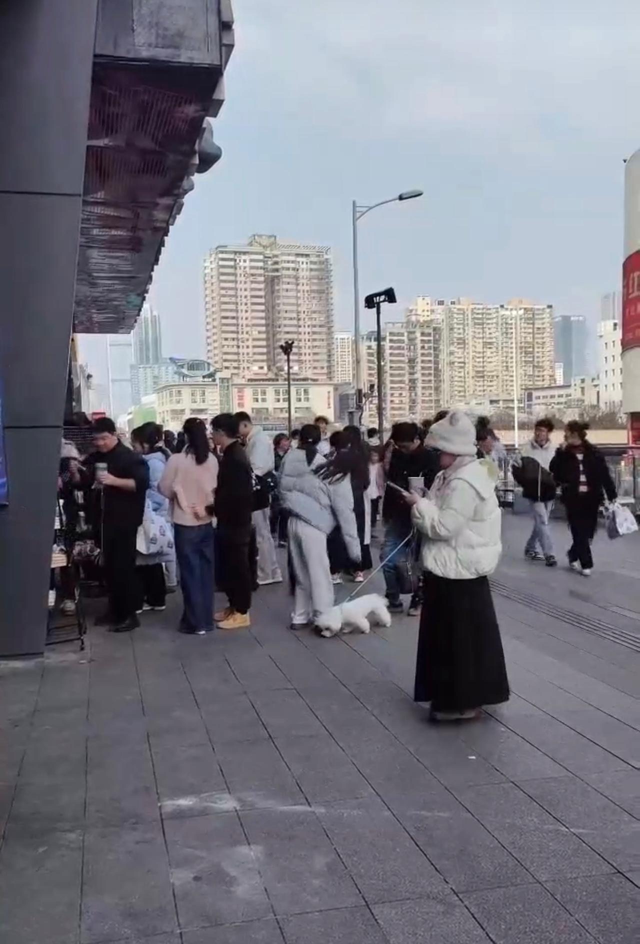 这届年轻人薅羊毛是真拼啊！
为了集卡连喇叭都整上了，直接下乡扫荡
虽然看着有点搞