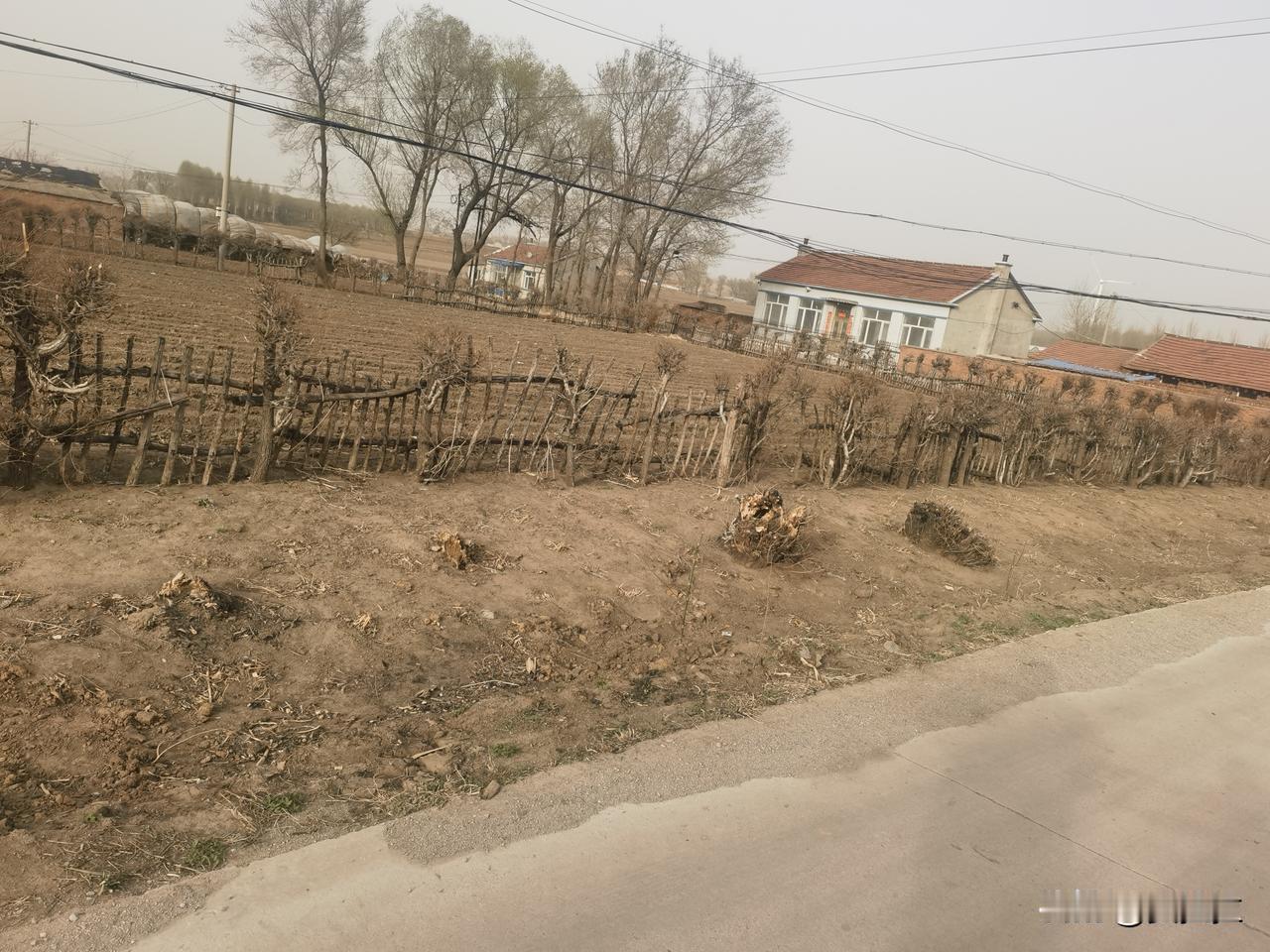 乡村的宁静与美丽，感受自然的静谧与和谐。