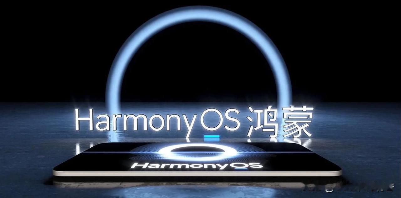 目前全球主流的5大手机操作系统：
第1名：Android（安卓，谷歌）
第2名：