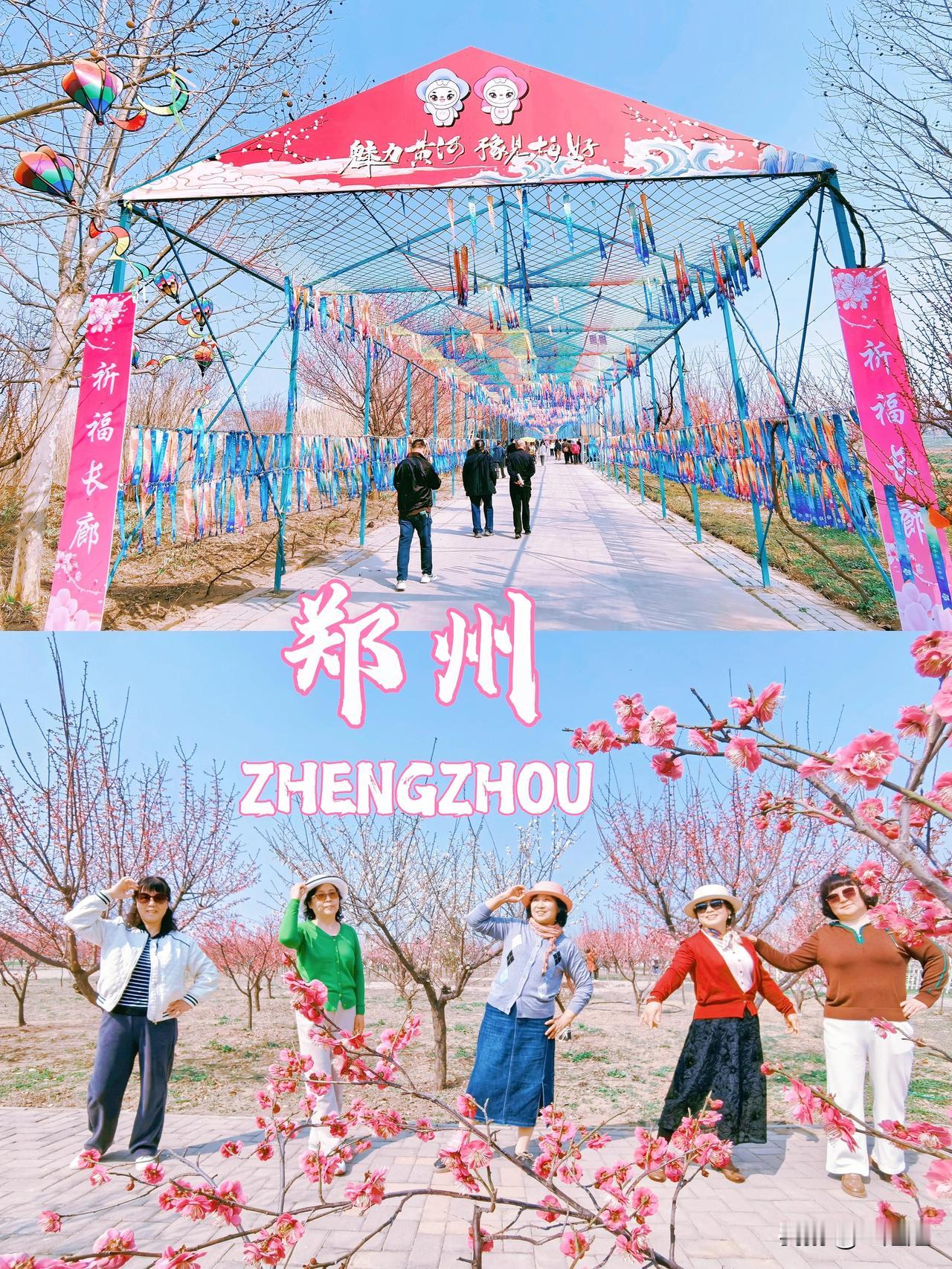 郑州黄河岸边梅花盛开，又发现一个踏青赏花好地方。

今年春天的黄河岸边显得格外美