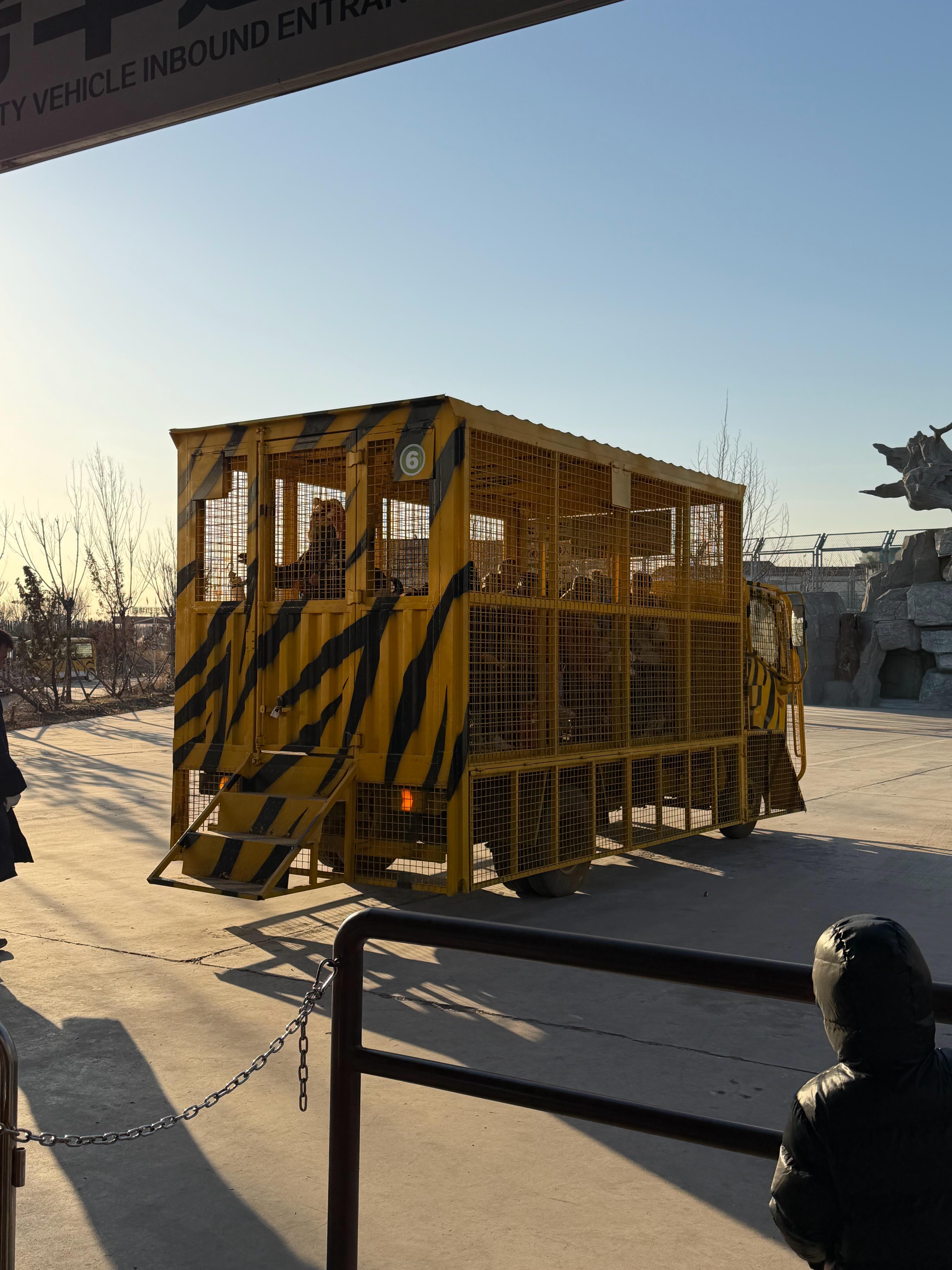 来到这个猛兽区，看到这个观光车，一时间不知道到底是谁参观谁。 天津·天津野生动物