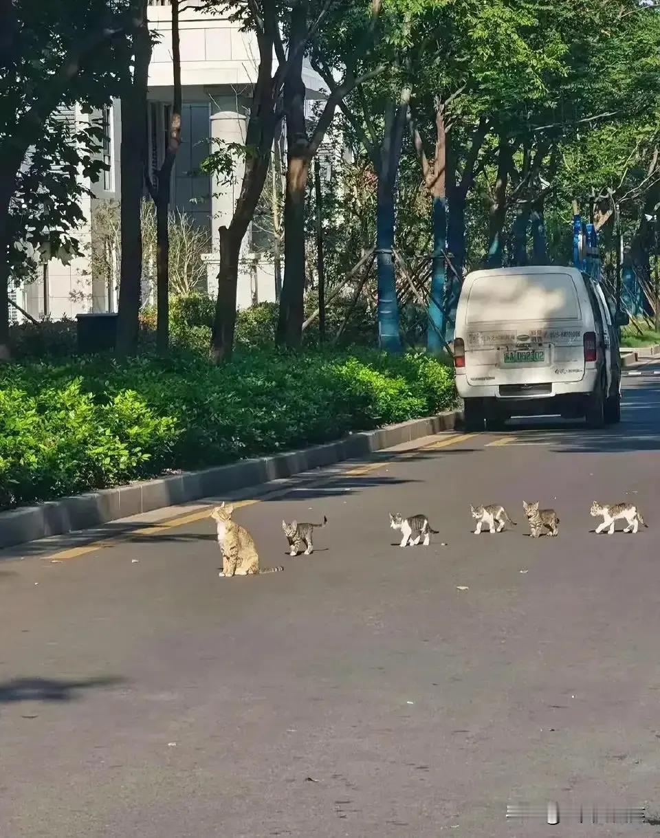 世界不只是人类的