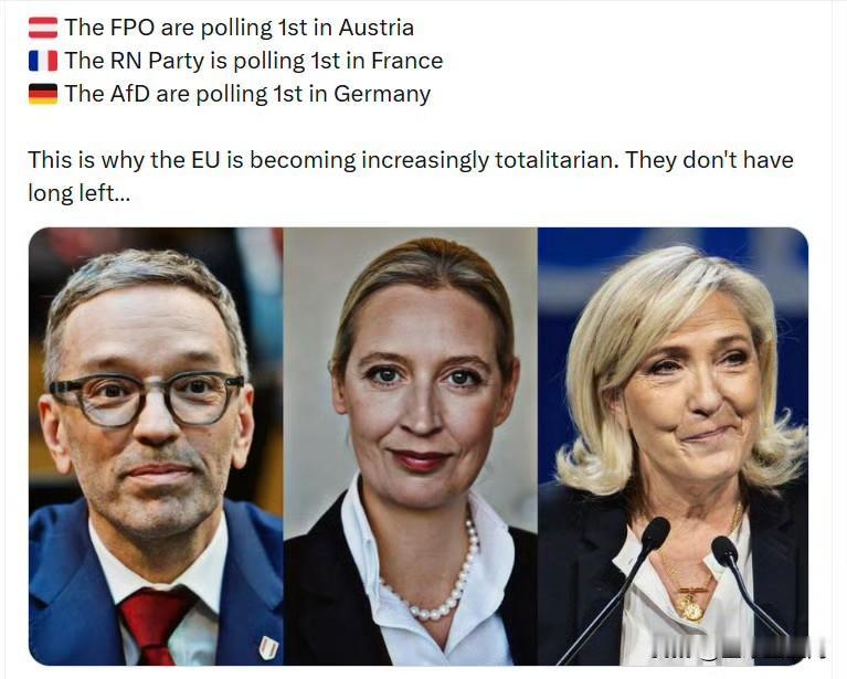 奥地利自由党（FPO）民调领先
法国国民联盟（RN）民调领先
德国另类选择党（A