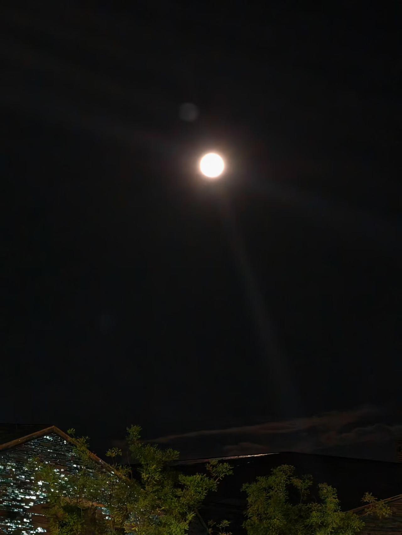 十六的月亮十六圆
​繁星点点真好